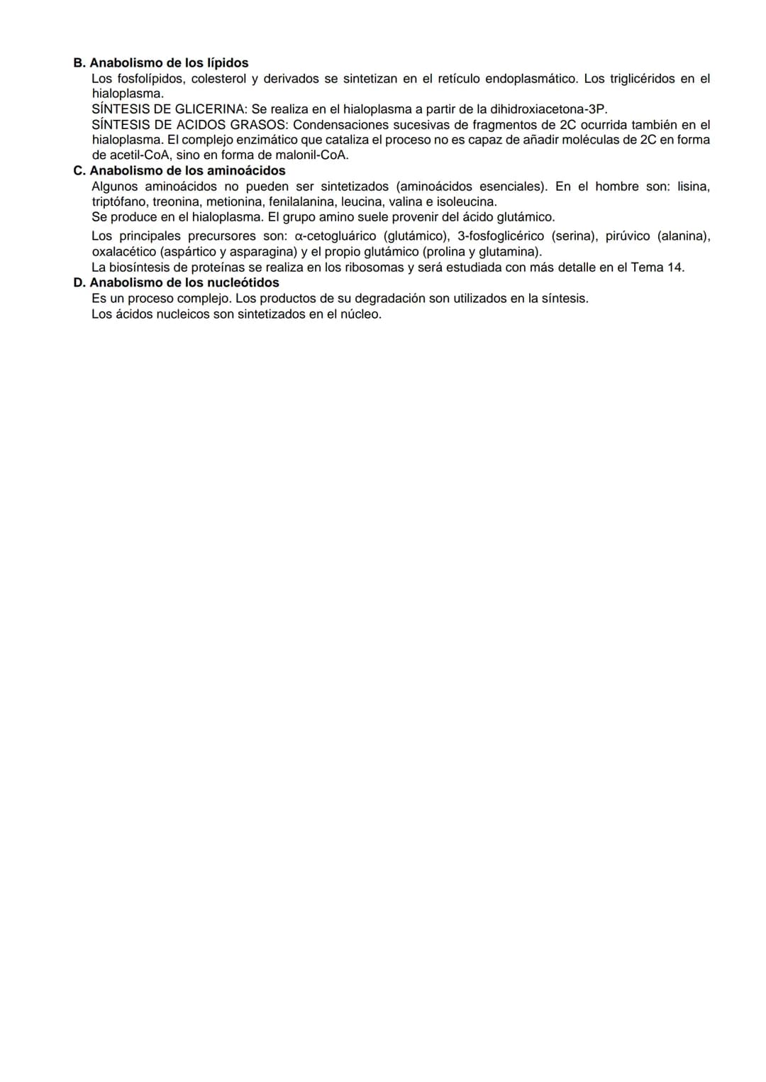 # ANABOLISMO, FOTOSÍNTESIS Y QUIMIOSÍNTESIS
I. FOTOSÍNTESIS
A. Concepto e importancia biológica
Proceso mediante el cual ciertos organismos