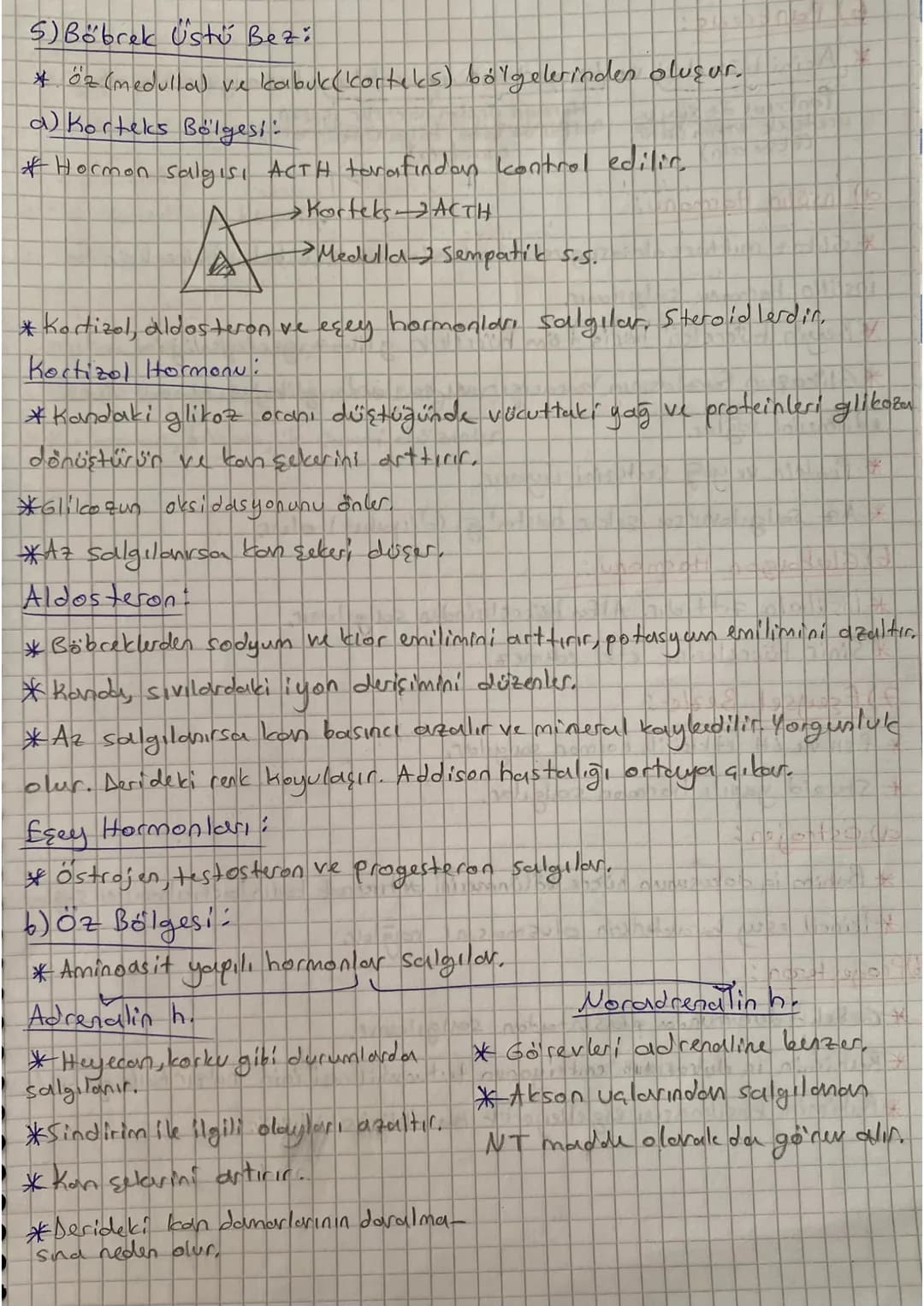 ENDOKRIN SISTEM
Hormon:
* Organik maddelerdir.
*Kan yoluyla taşınırlar.
* Çalışması yavaştır, fakat uzun süre etkilidir.
*Karma bezlerden,