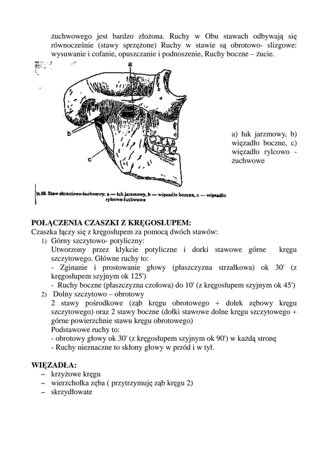 # CZASZKA!
F:
Tworzy osłonę kostną dla: Mózgowia, Narządów Zmysłu (zmysł równowagi, słuchu),
Układu Pokarmowego (odcinek początkowy), Układ