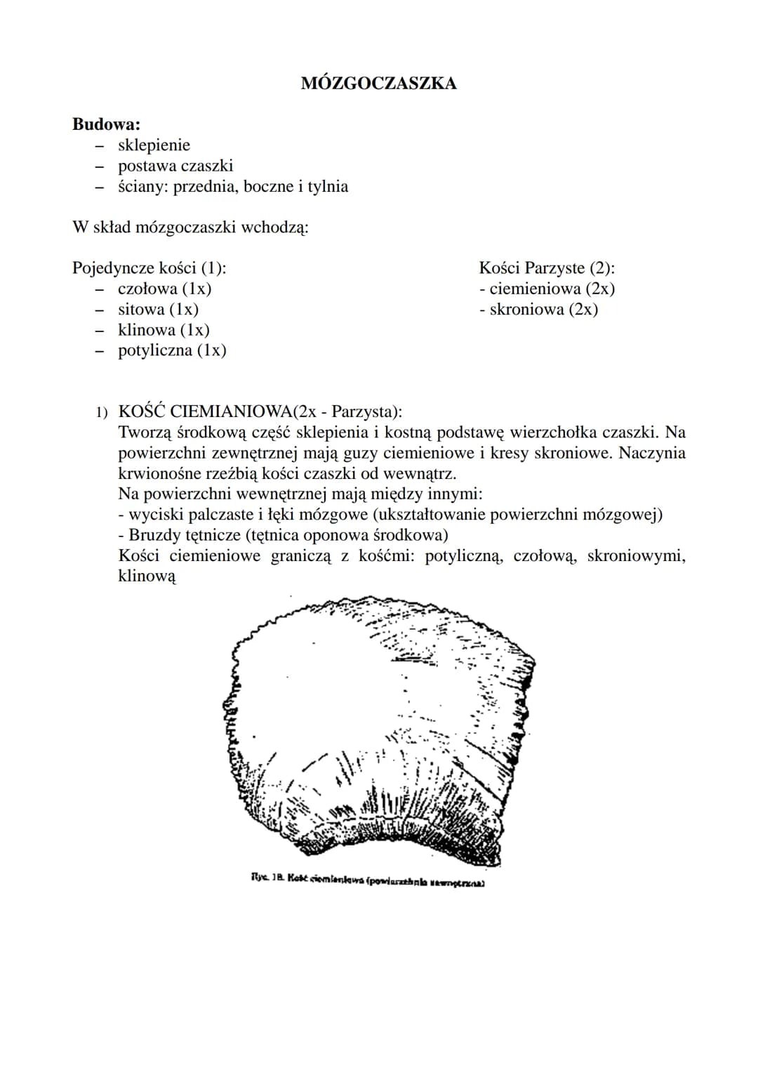 # CZASZKA!
F:
Tworzy osłonę kostną dla: Mózgowia, Narządów Zmysłu (zmysł równowagi, słuchu),
Układu Pokarmowego (odcinek początkowy), Układ