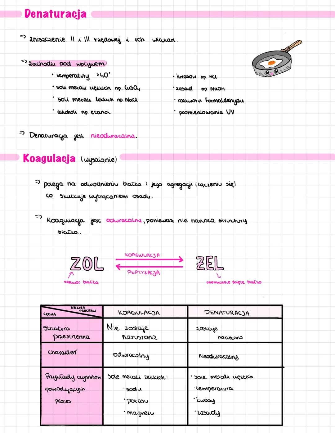 <p>Polimery kondensacyjne aminokwasów białkowych.</p>
<h2>Rodzaje białek</h2>
<p>Białka dzielą się ze względu na skład tańcucha polipeptydo