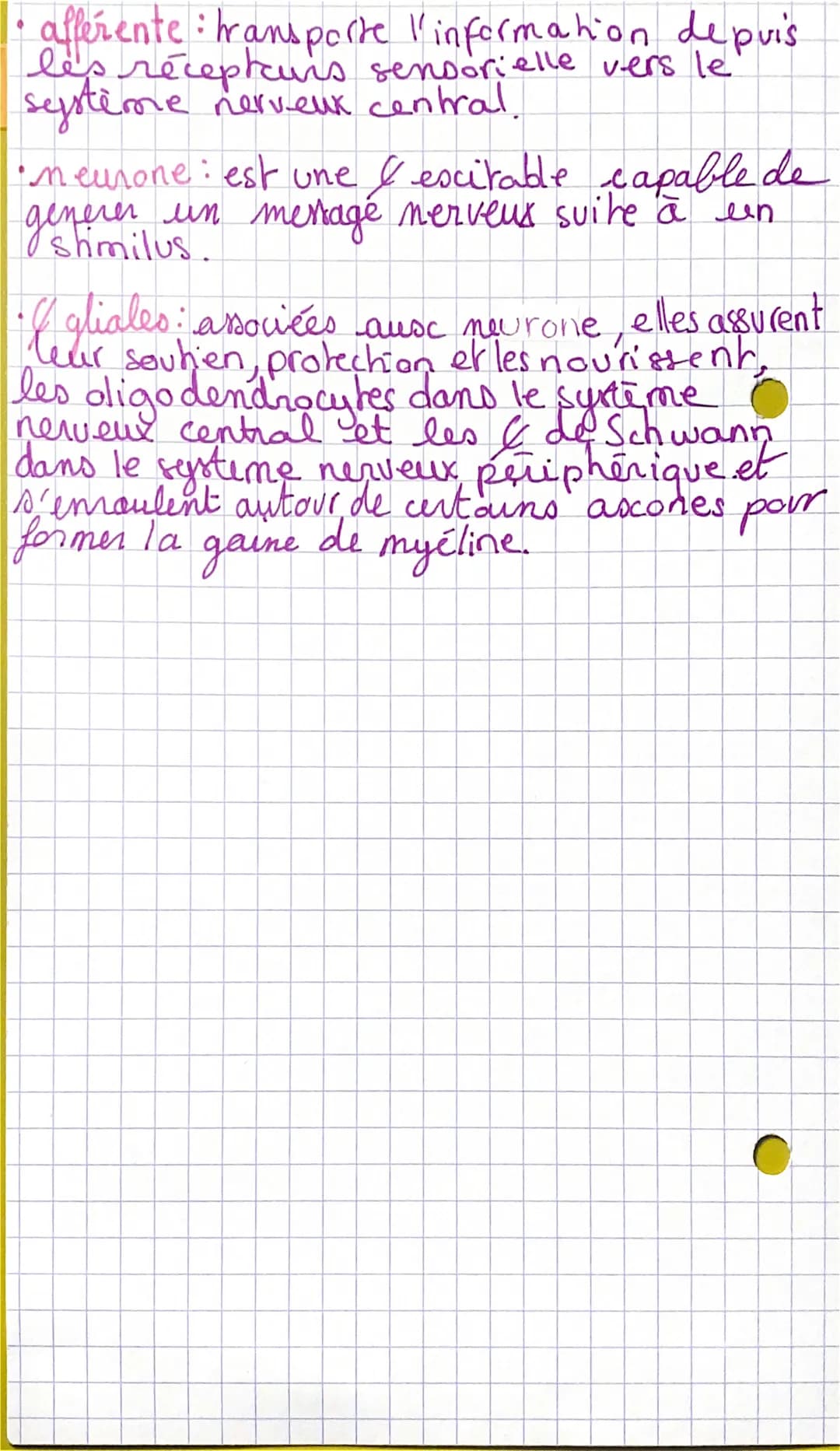 Définitions
Le système nerveux-anatomie, explorakon, lésions
•système nerveux somatique: contrôle la
motricité.
• systime nerveux végétif:
