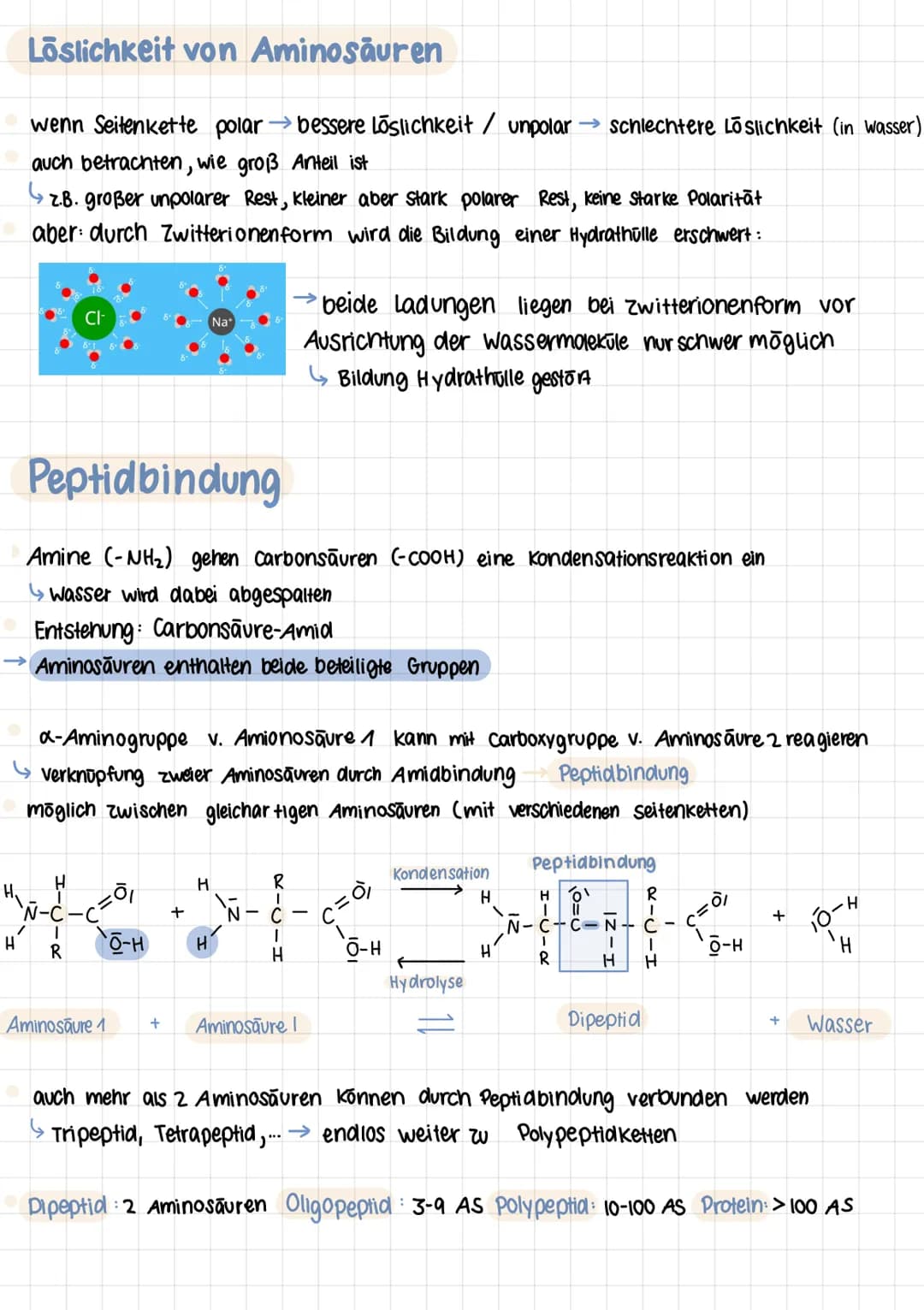 Q2 1.
# PROTEINE
Chemie Lernzettel
## Aminosäuren
- Proteine aus 20 Aminosäuren aufgebaut
- Aminogruppe sitzt an C-Atom, wo auch Carboxyg