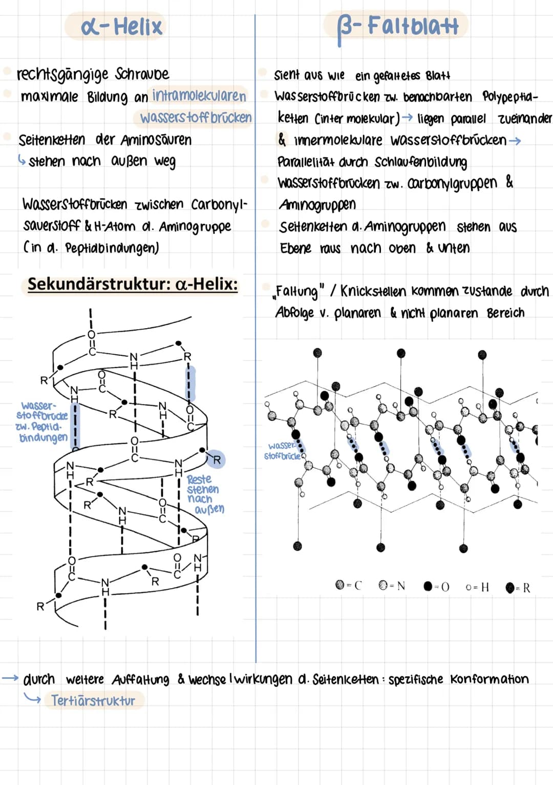 Q2 1.
# PROTEINE
Chemie Lernzettel
## Aminosäuren
- Proteine aus 20 Aminosäuren aufgebaut
- Aminogruppe sitzt an C-Atom, wo auch Carboxyg