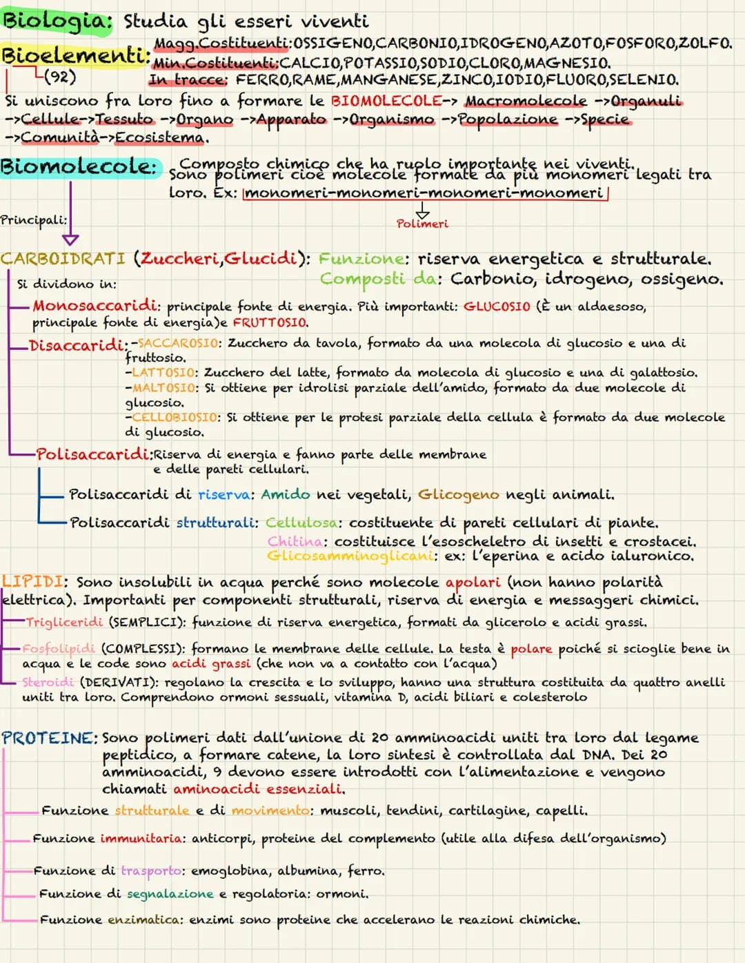 # Biologia: Studia gli esseri viventi
Magg.Costituenti: OSSIGENO, CARBONIO, IDROGENO, AZOTO, FOSFORO, ZOLFO.
Bioelementi: Min.Costituenti:C