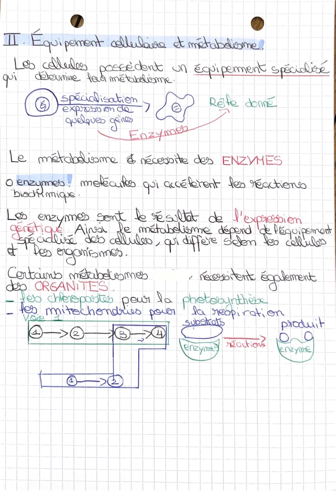 # le
métabolisme des
des cellules.
Chap 2:
I. Le métabolisme des transformations biochimiques
a) dans les cellules
Dames toutes cellule