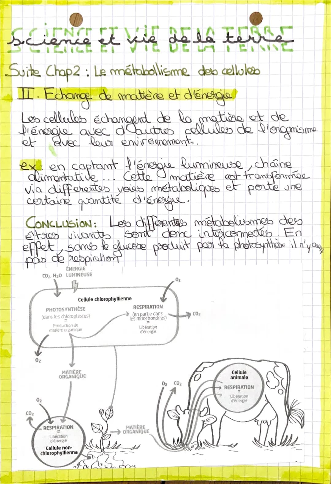 # le
métabolisme des
des cellules.
Chap 2:
I. Le métabolisme des transformations biochimiques
a) dans les cellules
Dames toutes cellule