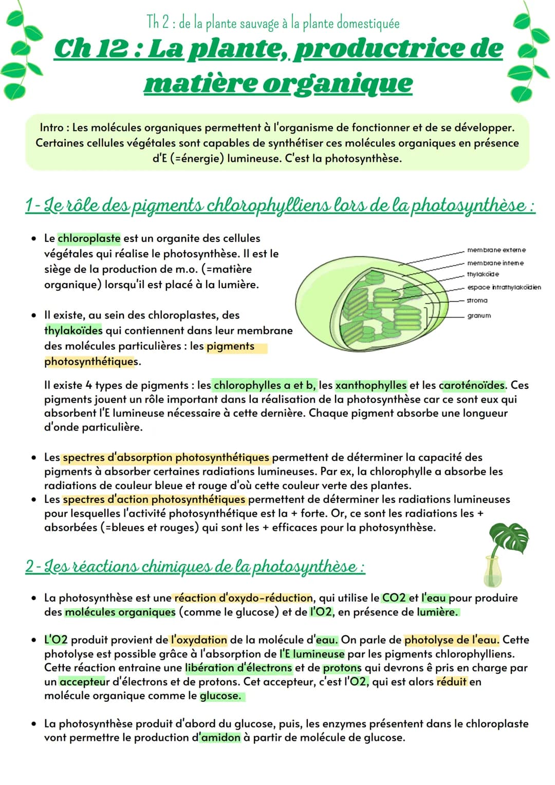 Th 2: de la plante sauvage à la plante domestiquée
# Ch 12 : La plante, productrice de
matière organique
Intro: Les molécules organiques p