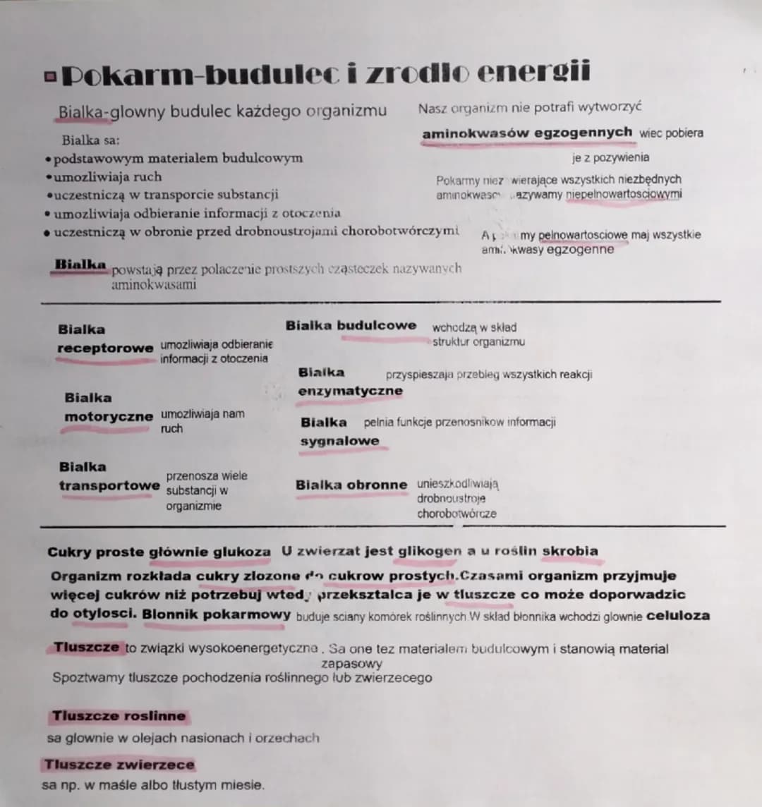 ■Pokarm-budulec i zrodlo energii
Bialka-glowny budulec każdego organizmu
Bialka sa:
* podstawowym materialem budulcowym
* umozliwiaja ruch