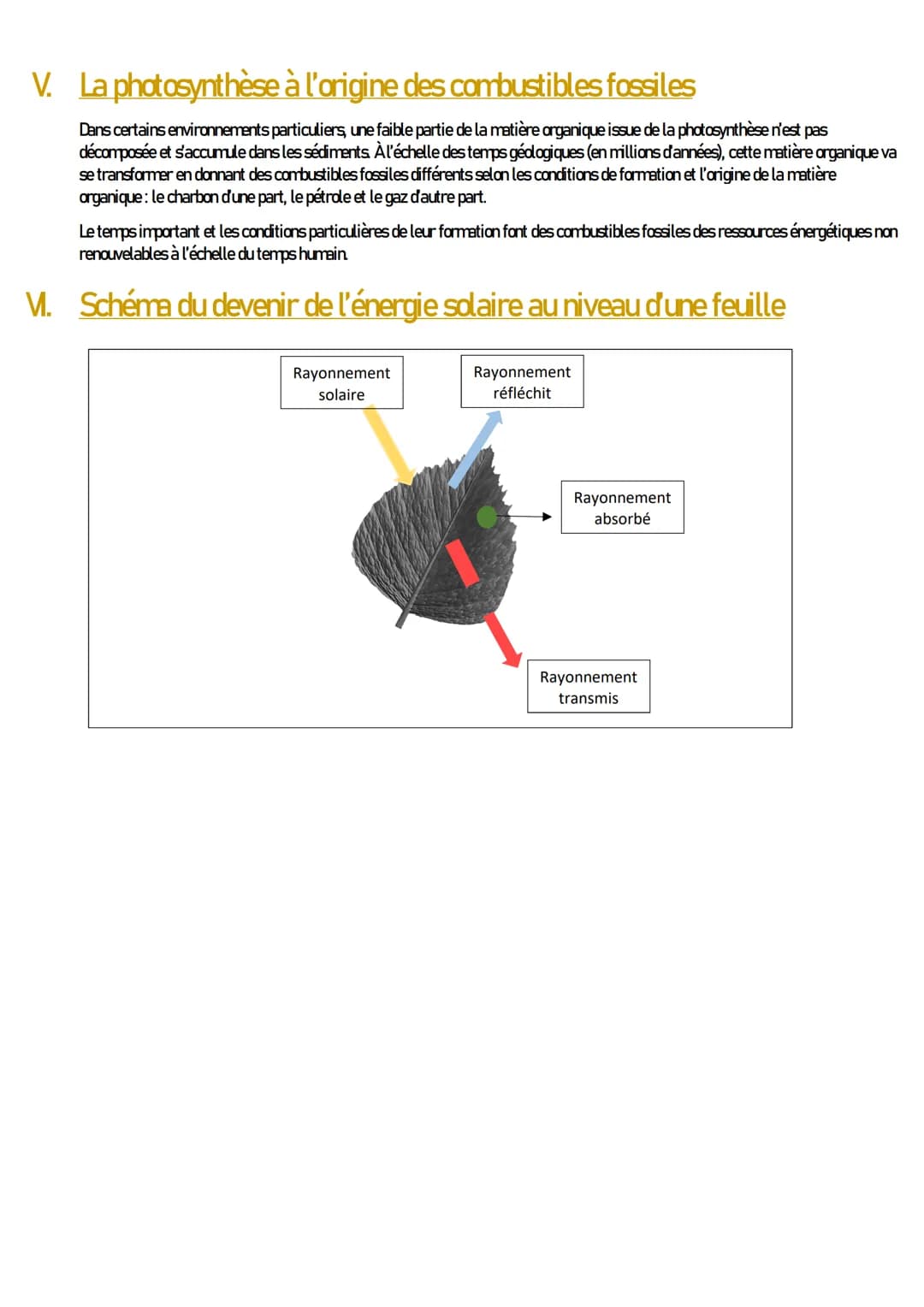 # ENSEIGNEMENT SCIENTIFIQUE
Uhe conversion biologique de l'énergie solaire :
la photosynthèse
1. Introduction
Uhe infime partie de l'éner