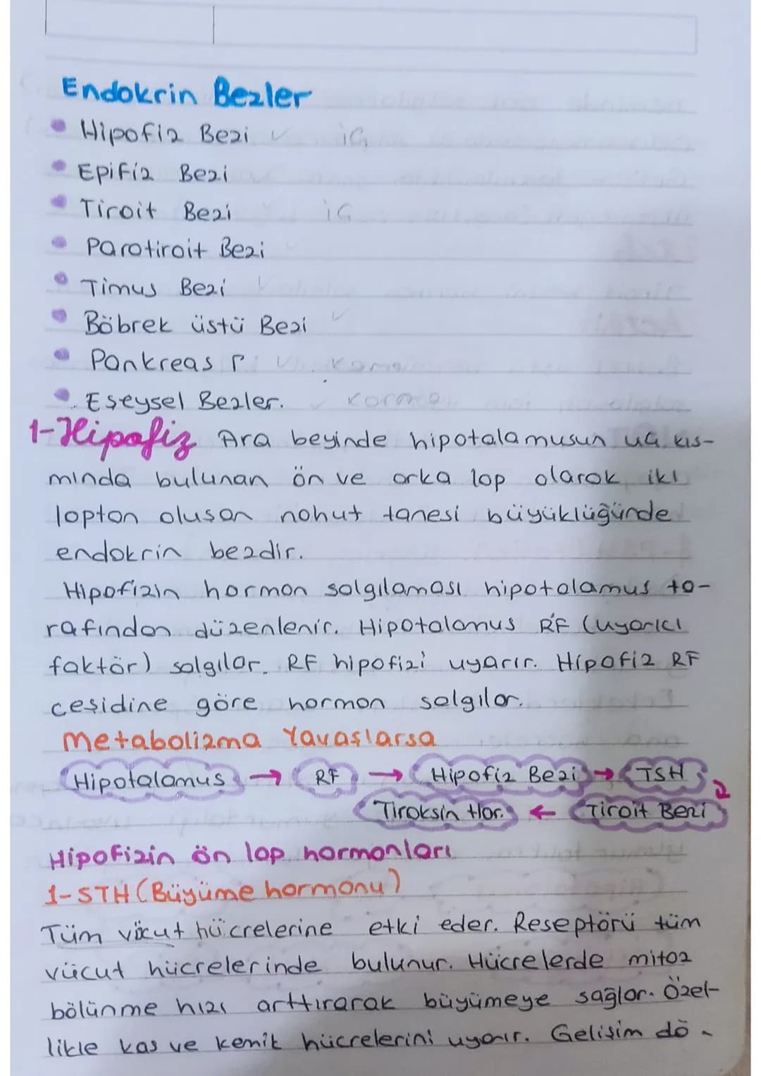 # endokrin sistem
Denetleyici düzenleyici sistemlerdendir.
Endokrin sistem salgı bezlerinden oluşur.
## Salgı Bezleri
ia salgı Bezleri
(