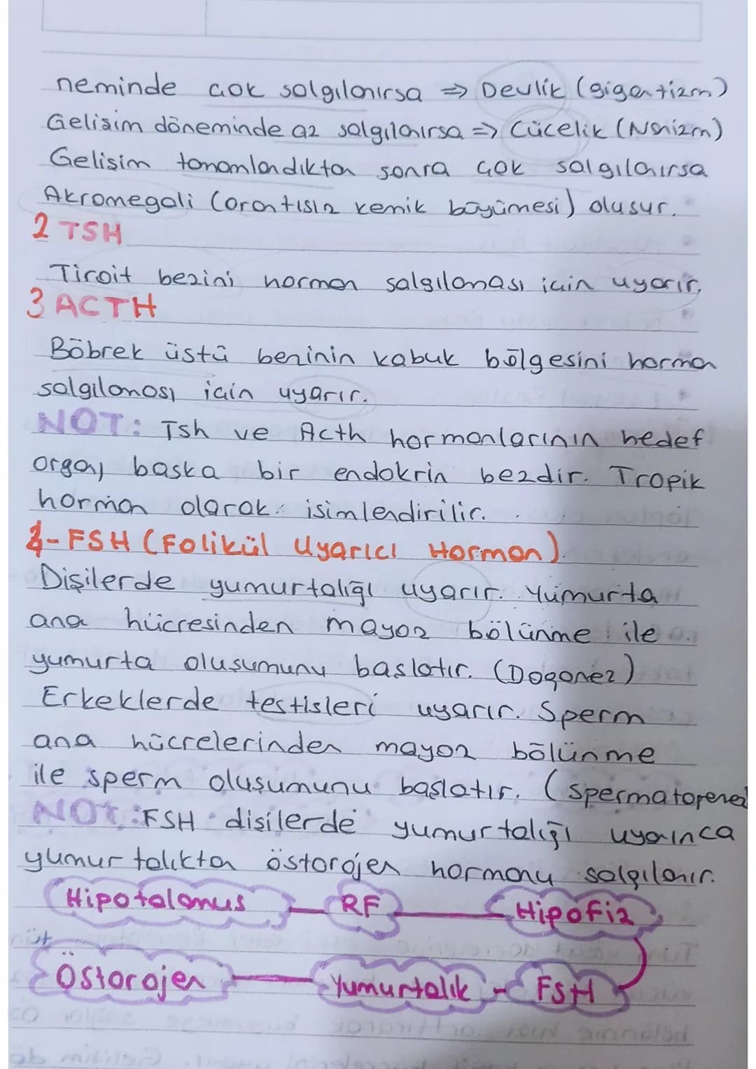 # endokrin sistem
Denetleyici düzenleyici sistemlerdendir.
Endokrin sistem salgı bezlerinden oluşur.
## Salgı Bezleri
ia salgı Bezleri
(