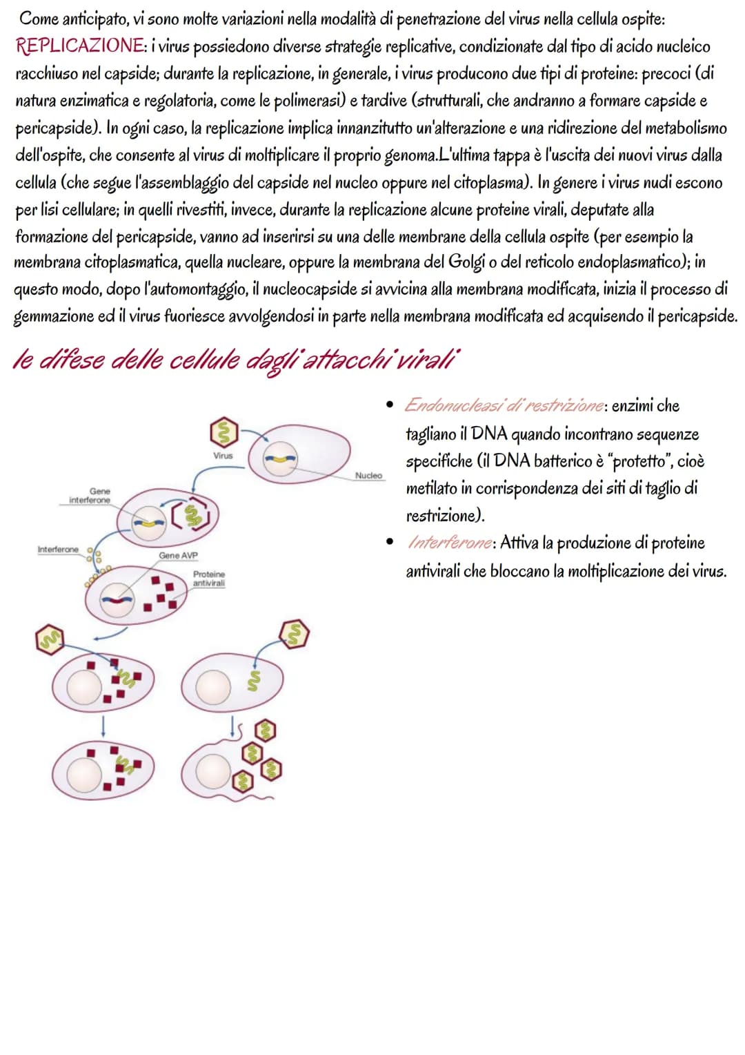# la genetica dei virus
i virus sono piccoli agenti o microrganismi infettivi che invadono le cellule e le trasformano in fabbriche per
pro