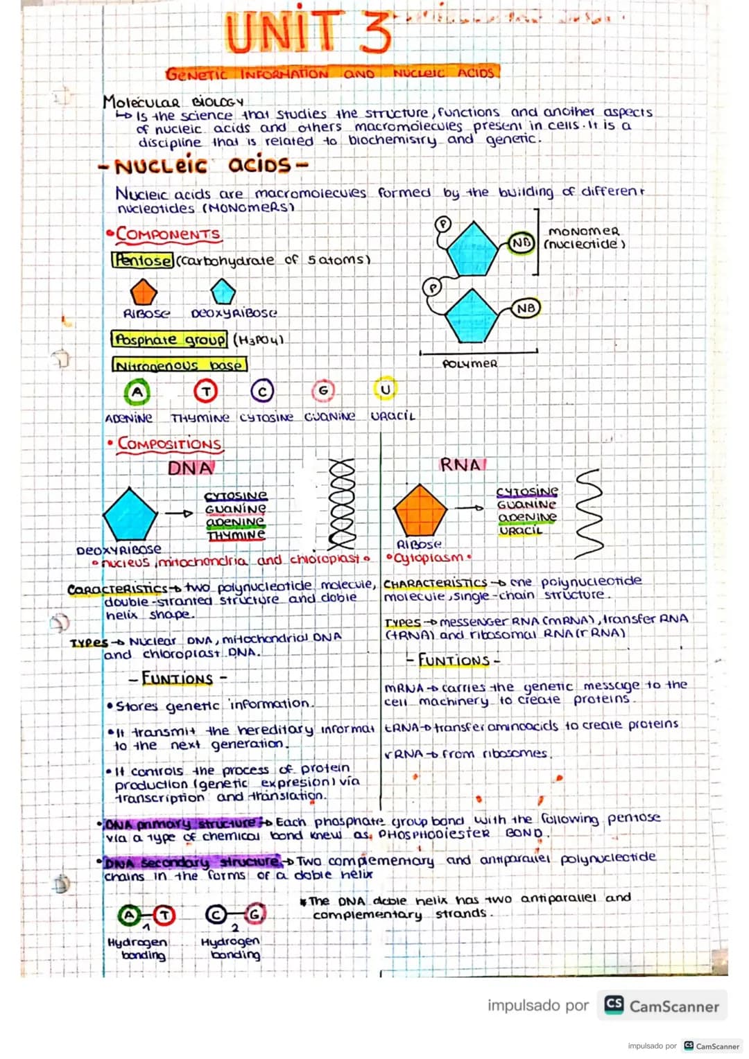 # UNIT 3
GENETIC INFORMATION AND NUCLEIC ACIDS
Molecular BIOLOGY
Is the science that studies the structure, functions and another aspects