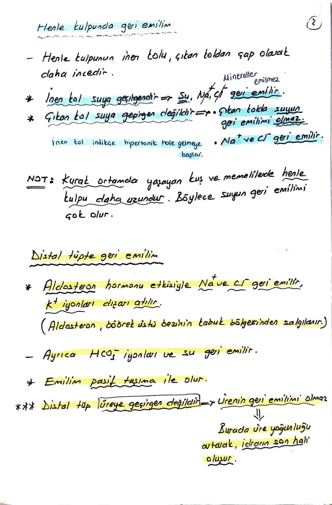 блемі
BOŞALTIM SİSTEMİ
Homeostasının (kararlı iç dengesin) korunmasını sağlar.
Boşaltım sistemi Organları
① Böbrekler (2 tane)
Üreter (