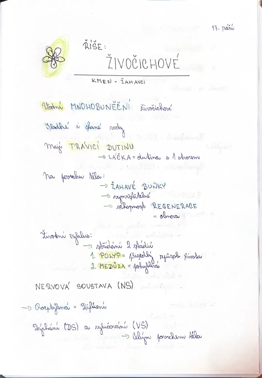ŘIŠE:
ŽIVOČICHOVÉ
KMEN ZAH AVCI
Vodní MNOHOBUNĚČNÍ živočichové
Sladké i slané vody
máy TRÁVICI DUTINU
→LÁČKA = dutina s 1 otvorem
Na p