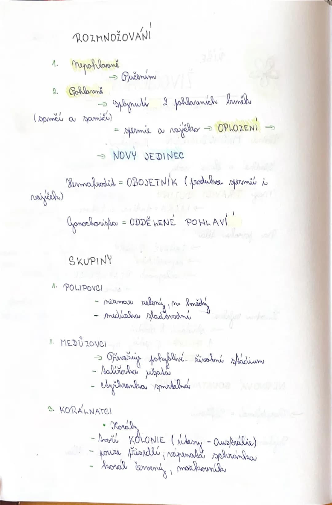 ŘIŠE:
ŽIVOČICHOVÉ
KMEN ZAH AVCI
Vodní MNOHOBUNĚČNÍ živočichové
Sladké i slané vody
máy TRÁVICI DUTINU
→LÁČKA = dutina s 1 otvorem
Na p
