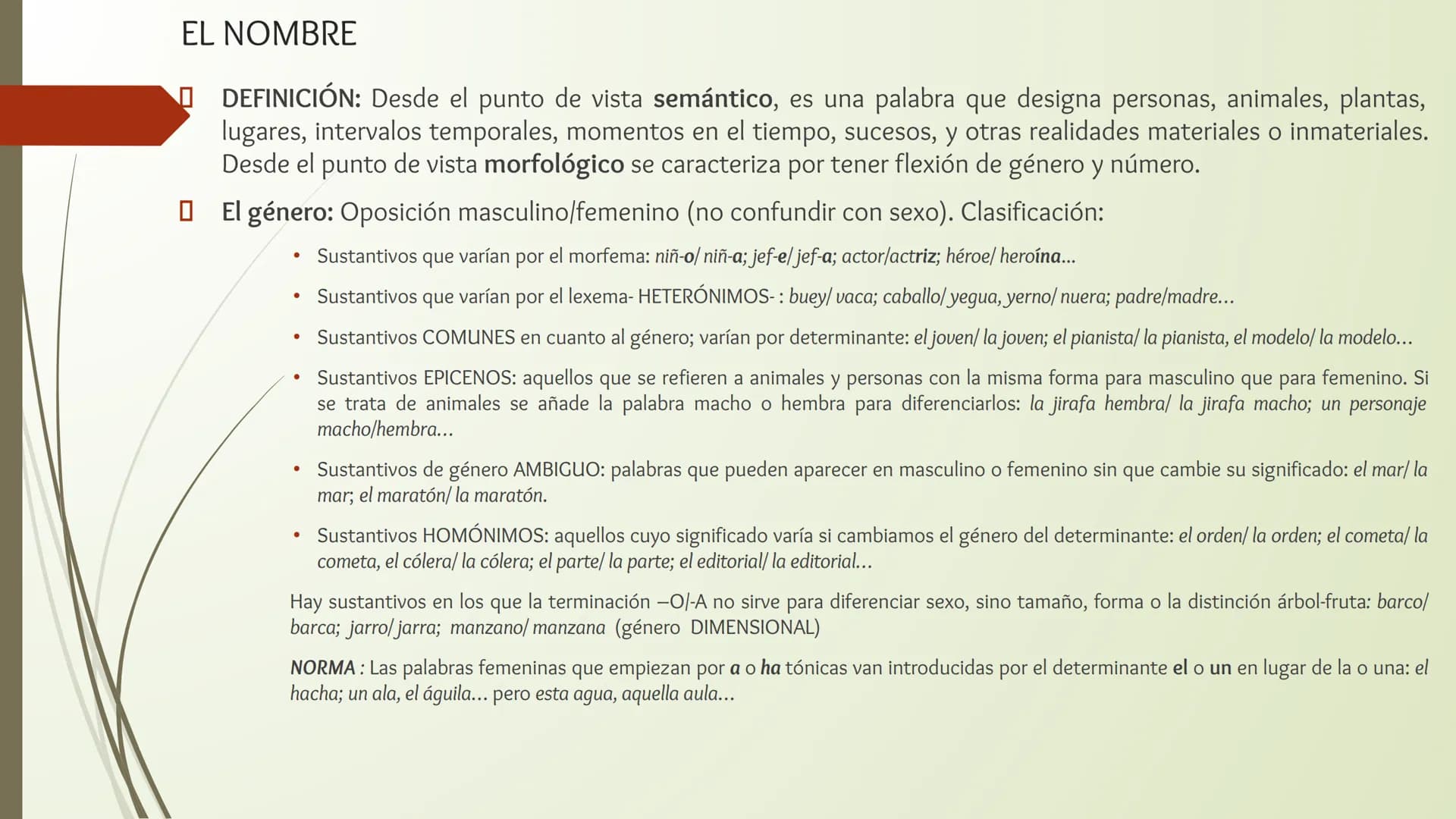# CLASES DE PALABRAS
LENGUA CASTELLANA # CLASES DE PALABRAS
La Gramática de una lengua tiene dos componentes básicos que nos permiten crea