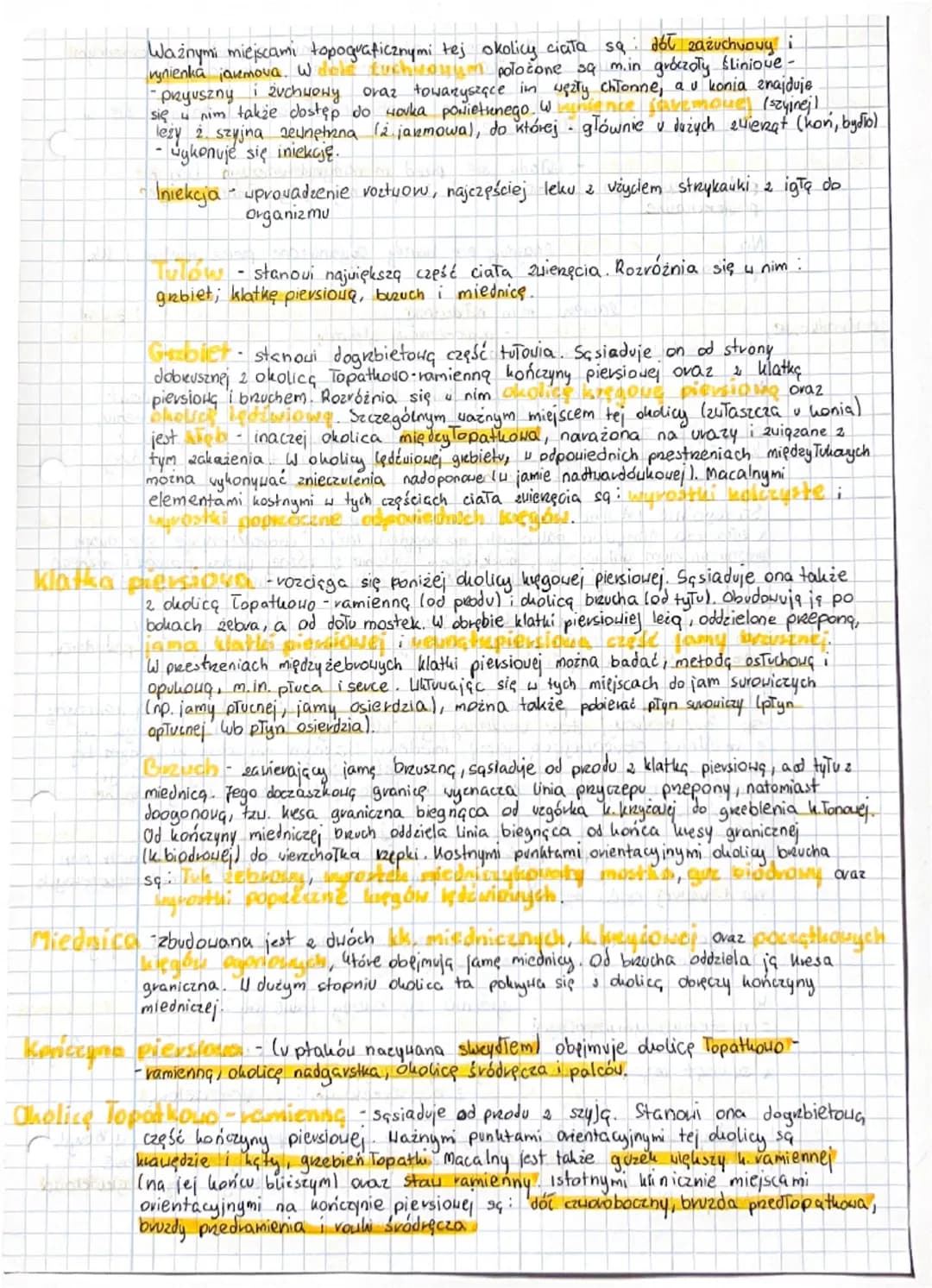 # Części i okolice ciała zwierząt
Części i okolice ciała zwierząt opisuje anatomia topograficzna.
Jej celem jest nauczenie widzenia prestre