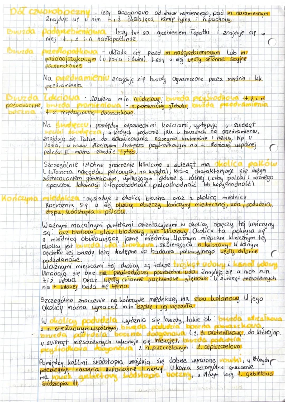 # Części i okolice ciała zwierząt
Części i okolice ciała zwierząt opisuje anatomia topograficzna.
Jej celem jest nauczenie widzenia prestre