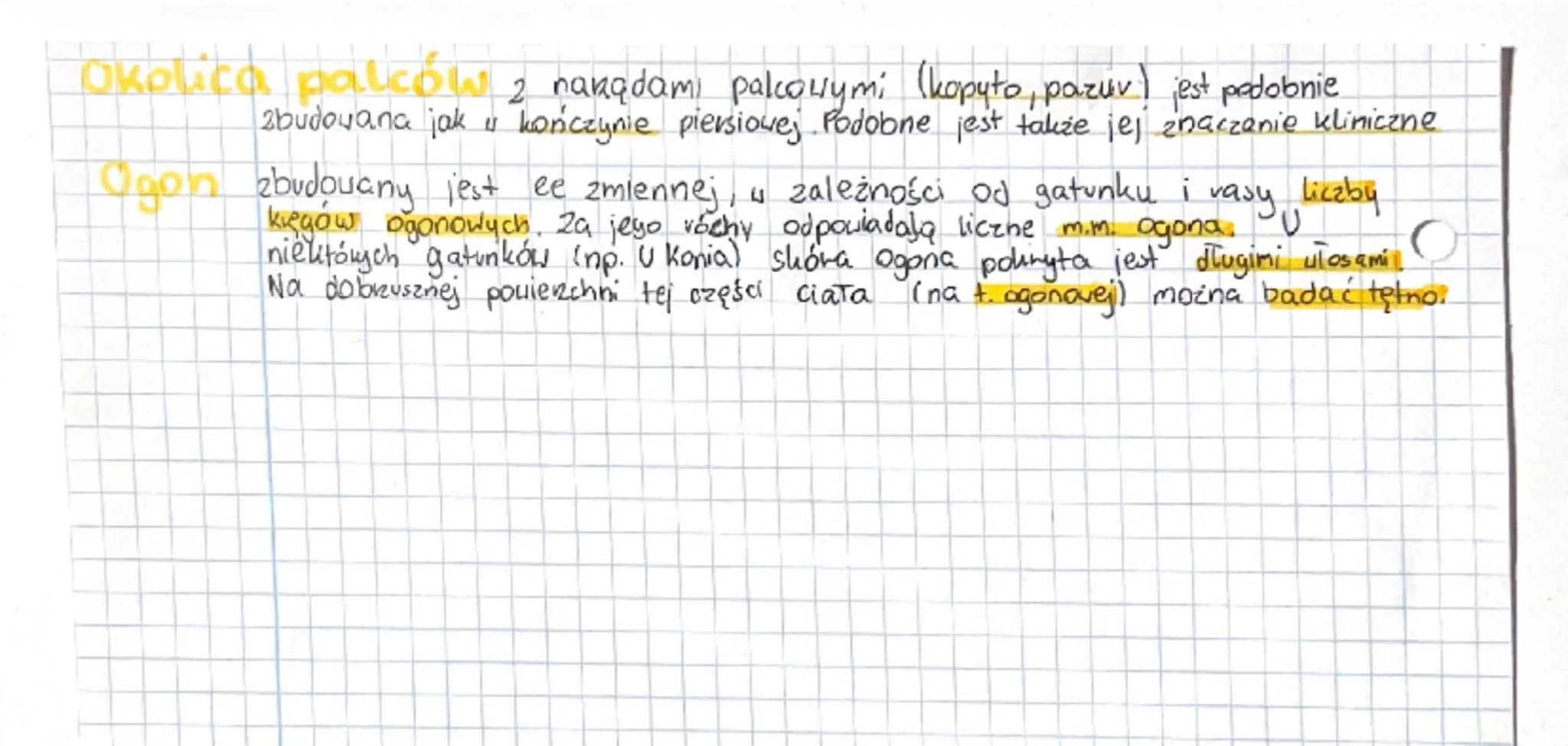 # Części i okolice ciała zwierząt
Części i okolice ciała zwierząt opisuje anatomia topograficzna.
Jej celem jest nauczenie widzenia prestre