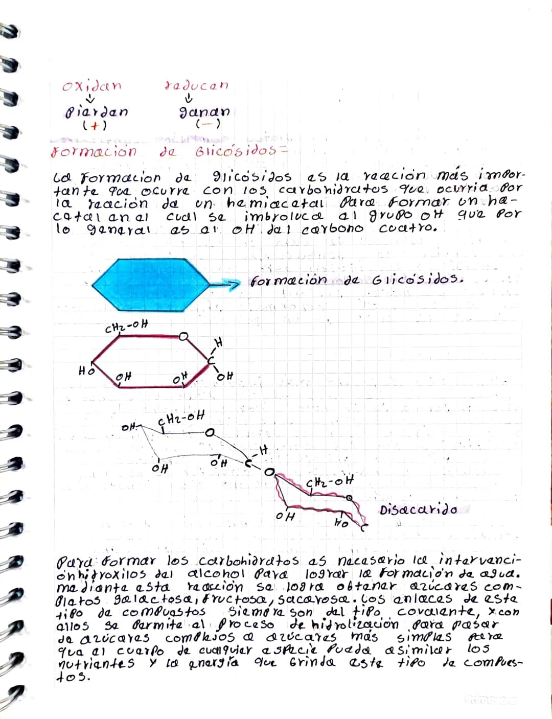 # Carbohidratos
Cos carbohidratos, también Namdos hidratos de carbono,
deben sus nombre a que en su fórmura los átomos de car-
bono van uni