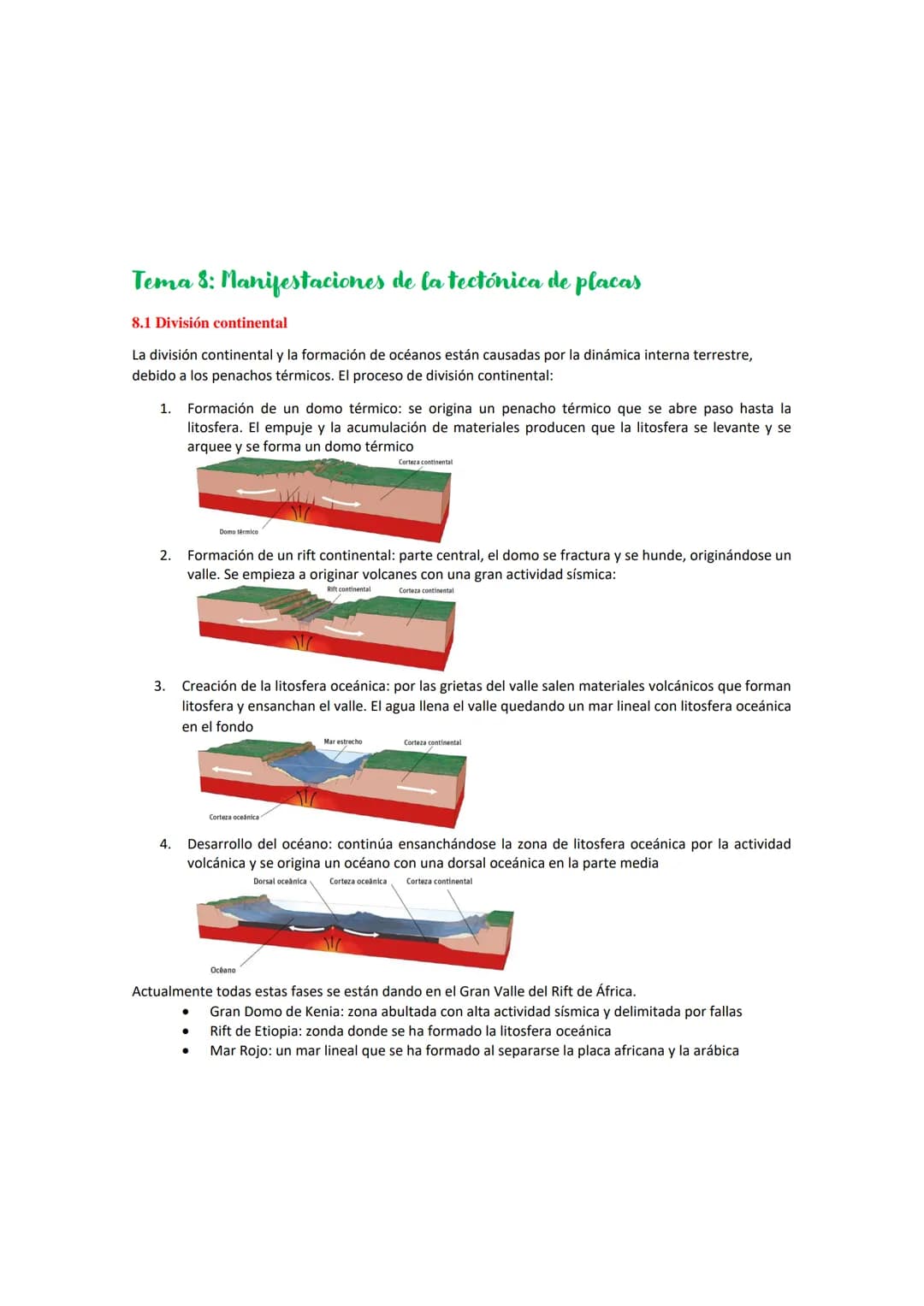 # Tema 8: Manifestaciones de la tectónica de placas
8.1 División continental
La división continental y la formación de océanos están causa