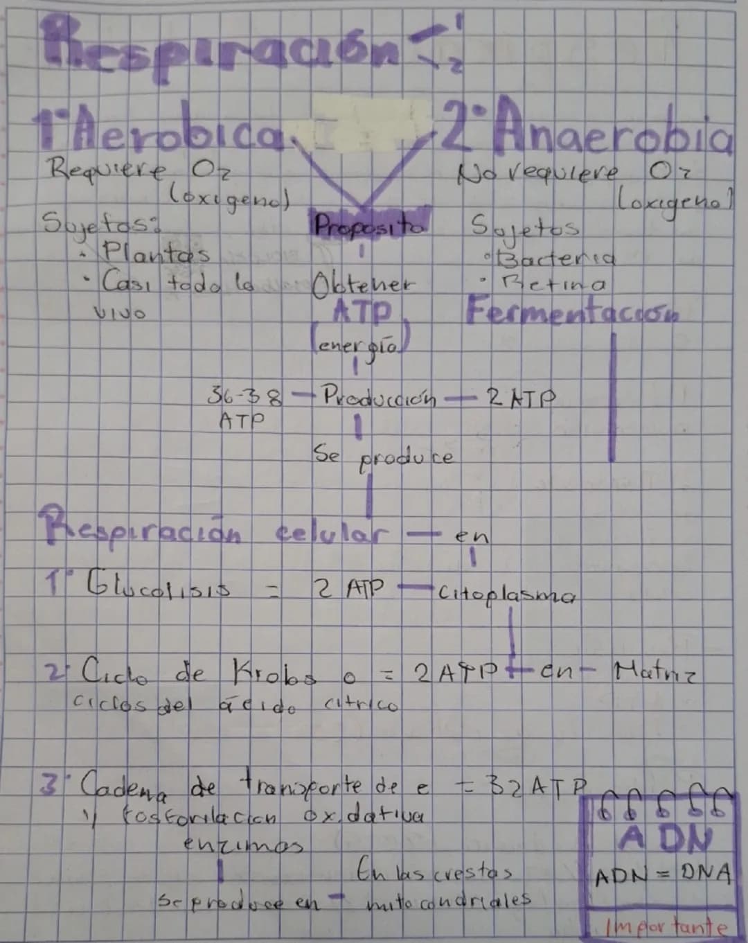 Respiración!!
1. Aerobica 2 Anaerobia
Requiere Oz No requlere Or
(oxigeno) Loxigeno
Sujetas: Proposito Sojetos
- Plantas Obtener • Bacteria