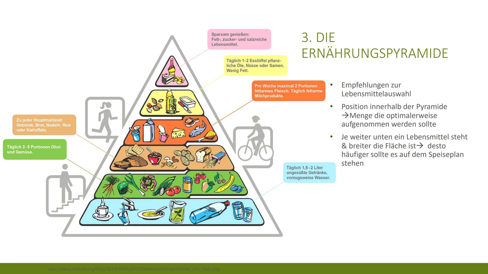 <h2>Allgemeines</h2>
<p>Es gibt nicht DIE gesunde Ernährung. Die Ernährung hängt immer von der jeweiligen Person ab, wie zum Beispiel Leben