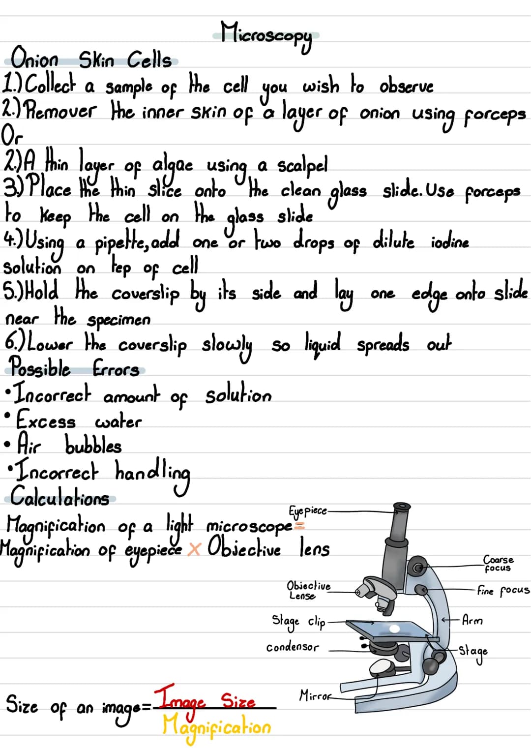 <h2>Microscopy</h2>
<h3>Types of Microscopy</h3>
<p>Microscopy is the study of small objects using a microscope. There are different types