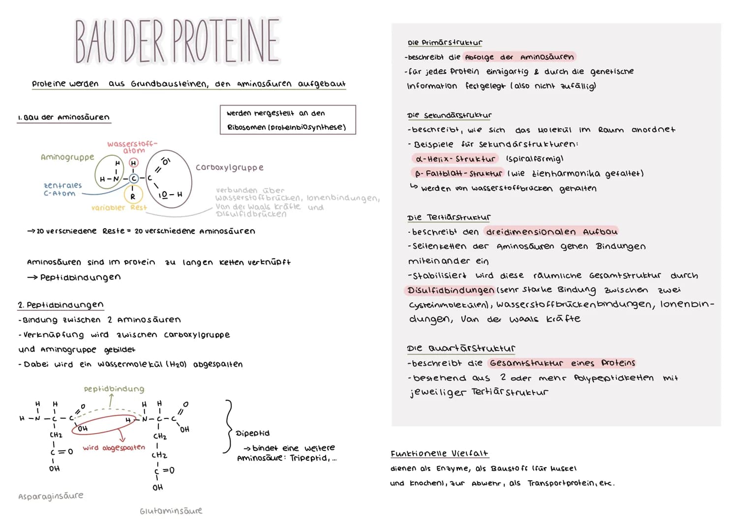 # DER GENETISCHE CODE
was ist der genetische Code ?
Der genetische Code ist die in der Basensequenz
der DNA verschlusselt vorliegende Info