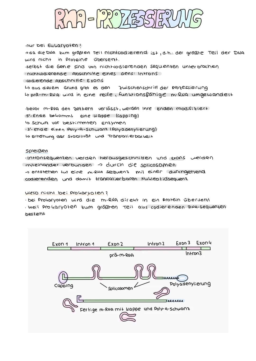 # DER GENETISCHE CODE
was ist der genetische Code ?
Der genetische Code ist die in der Basensequenz
der DNA verschlusselt vorliegende Info