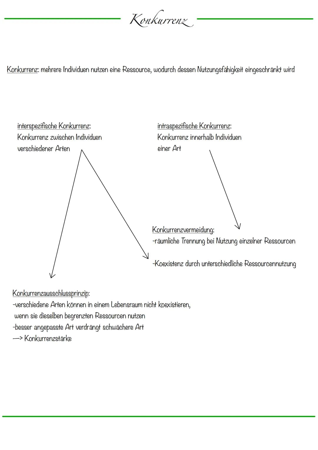 # Ökologie
Ökologie: Interaktionen/Wechselbeziehungen der Lebewesen mit ihrer Umwelt
Lehre vom Haushalt der Natur
Ökosystem: dynamisches B