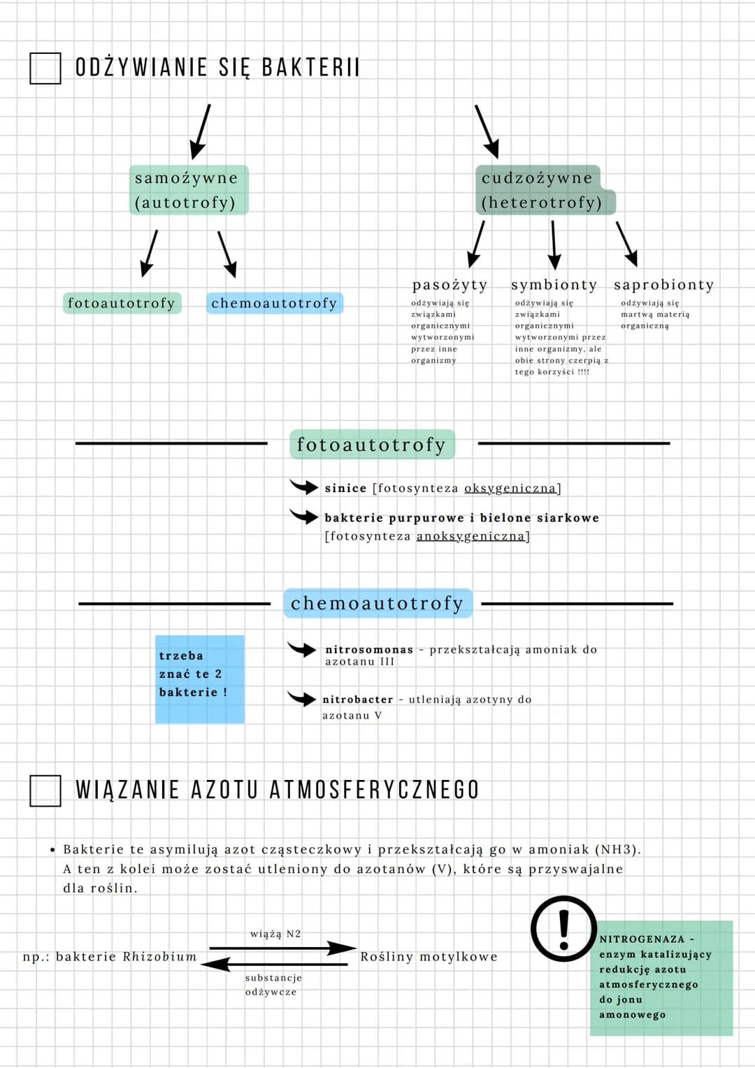 # BAKTERIE
BIOLOGIA SPRAWDZIAN 3.10
BUDOWA BAKTERII
(1) otoczka śluzowa) nie wszystkie !
2) ściana komórkowa zbudowana z
peptydoglikanu [m
