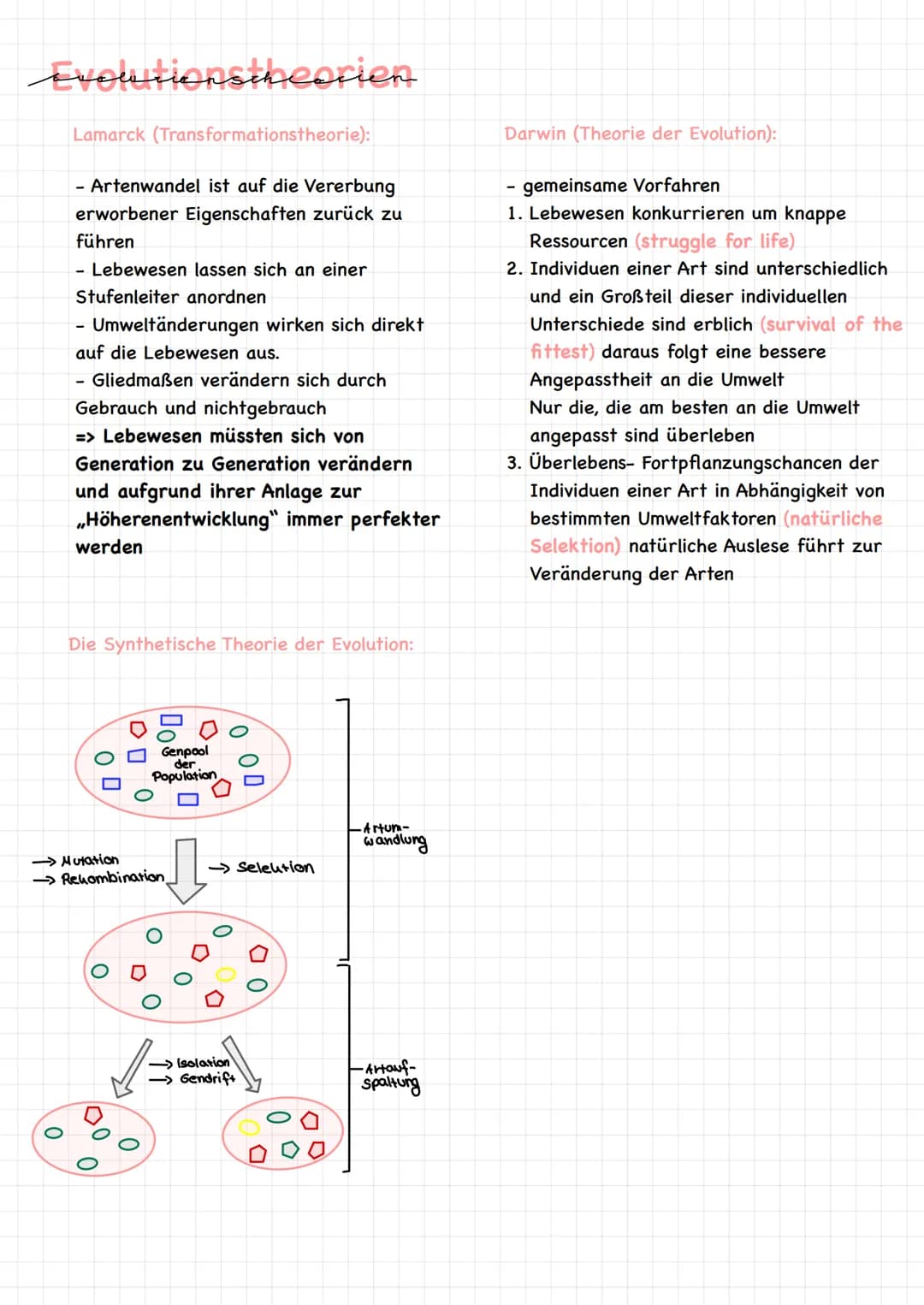 Evolution # Definition EVOLUTION-
Definition:
Mechanismen, Prozesse und historische Abläufe (Veränderungen), die zur
Entstehung des Lebens