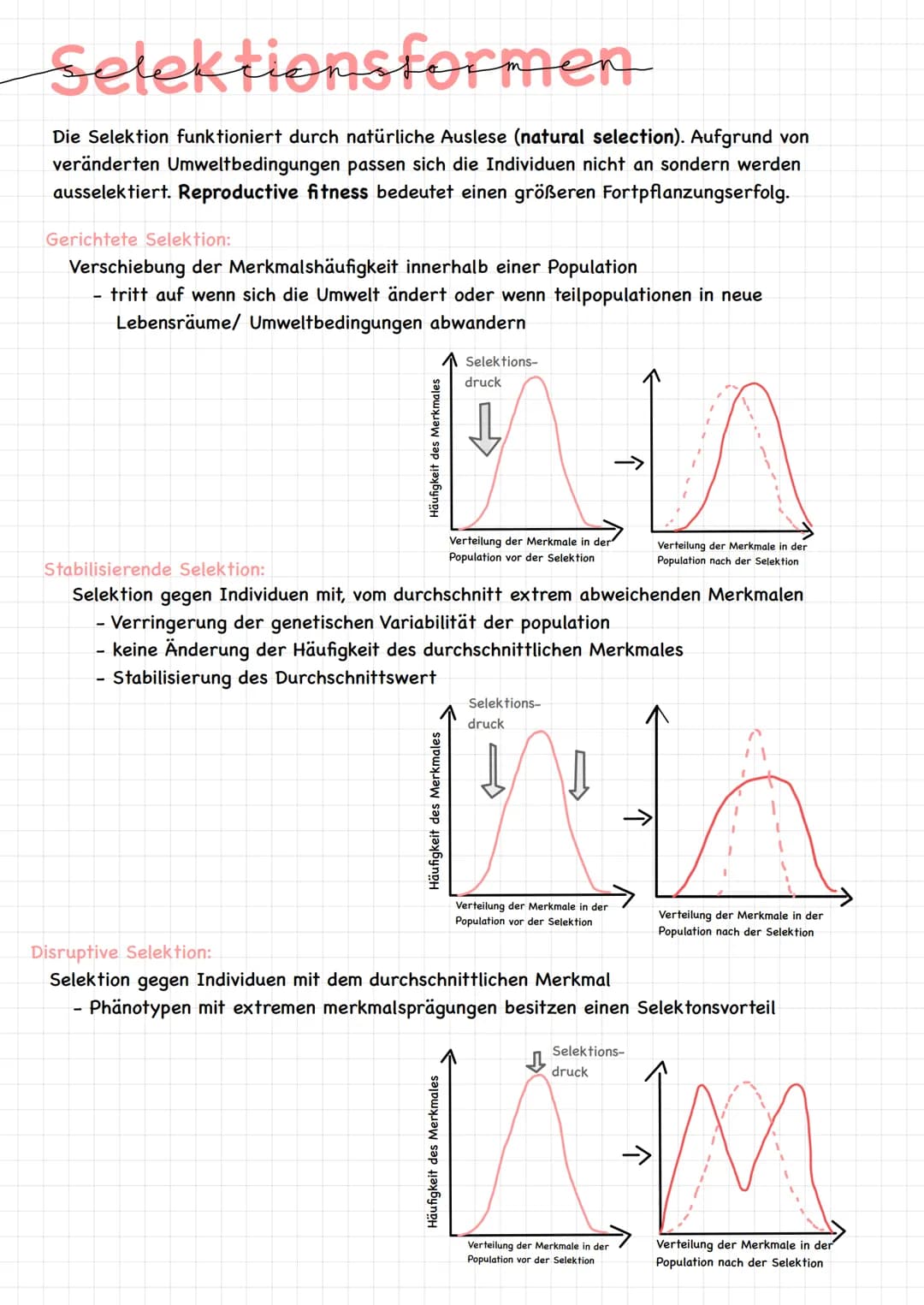 Evolution # Definition EVOLUTION-
Definition:
Mechanismen, Prozesse und historische Abläufe (Veränderungen), die zur
Entstehung des Lebens