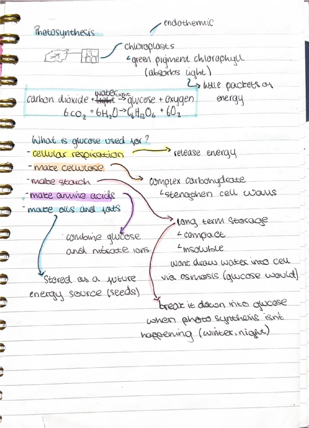 Photosynthesis
endothermic
Chloroplasts
<green pigment chlorophyll
(absoros light)
carbon dioxide + $H_2O$ $\rightarrow$ quicese + oxygen