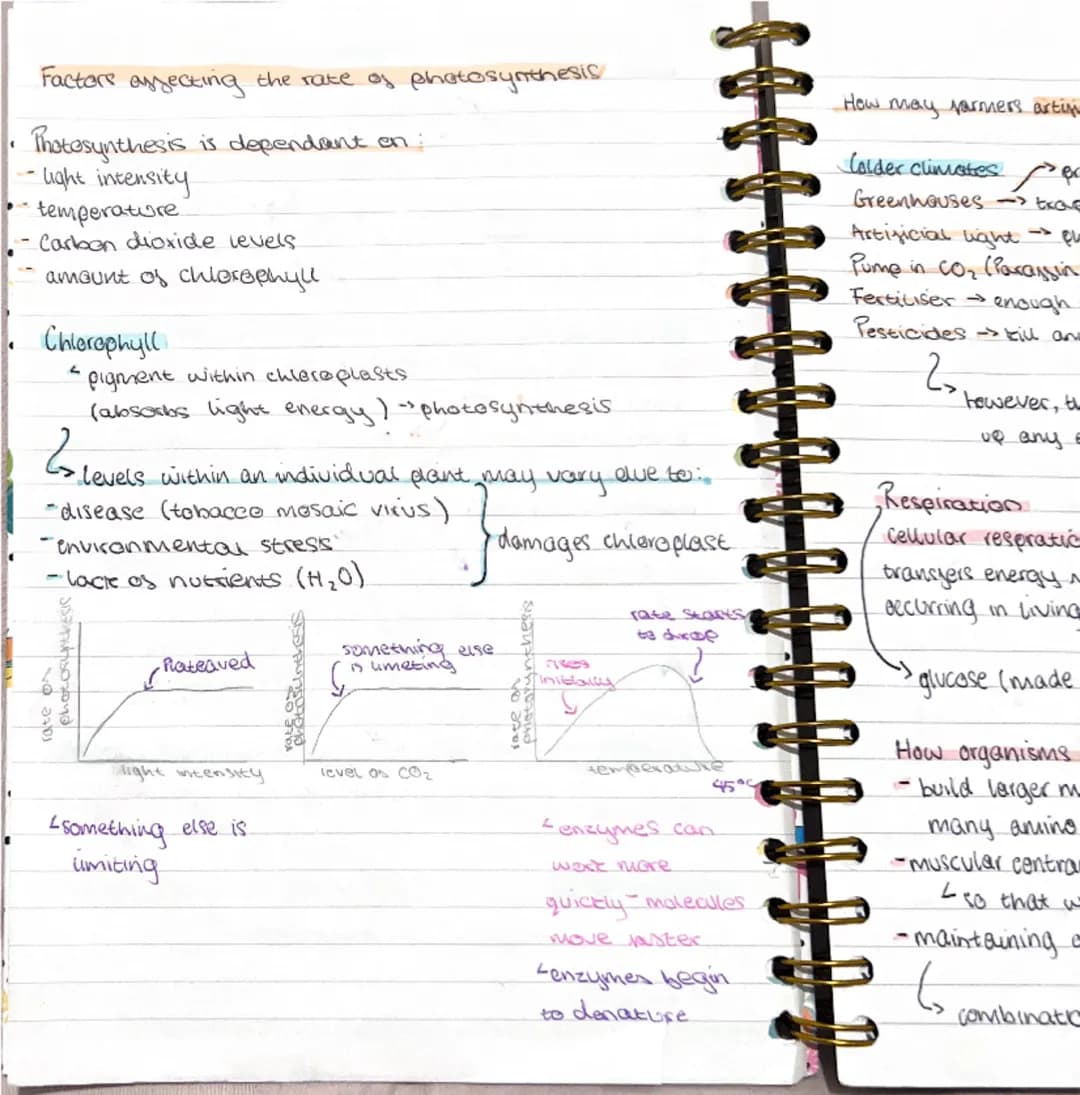 Photosynthesis
endothermic
Chloroplasts
<green pigment chlorophyll
(absoros light)
carbon dioxide + $H_2O$ $\rightarrow$ quicese + oxygen