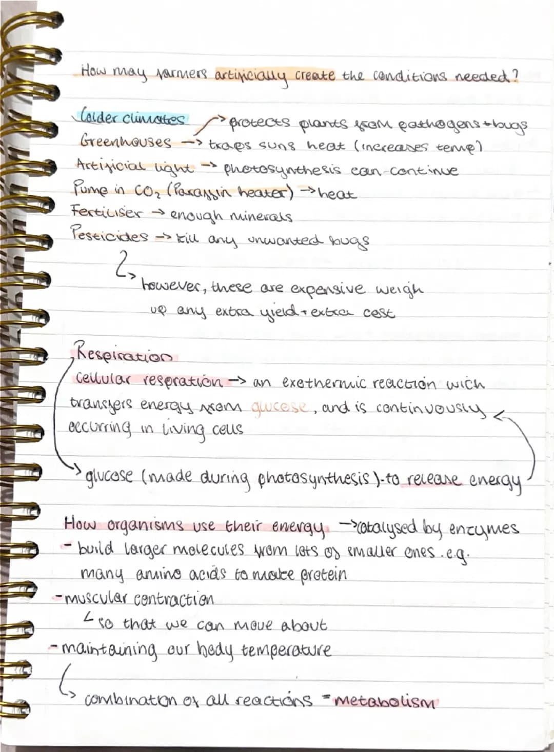 Photosynthesis
endothermic
Chloroplasts
<green pigment chlorophyll
(absoros light)
carbon dioxide + $H_2O$ $\rightarrow$ quicese + oxygen