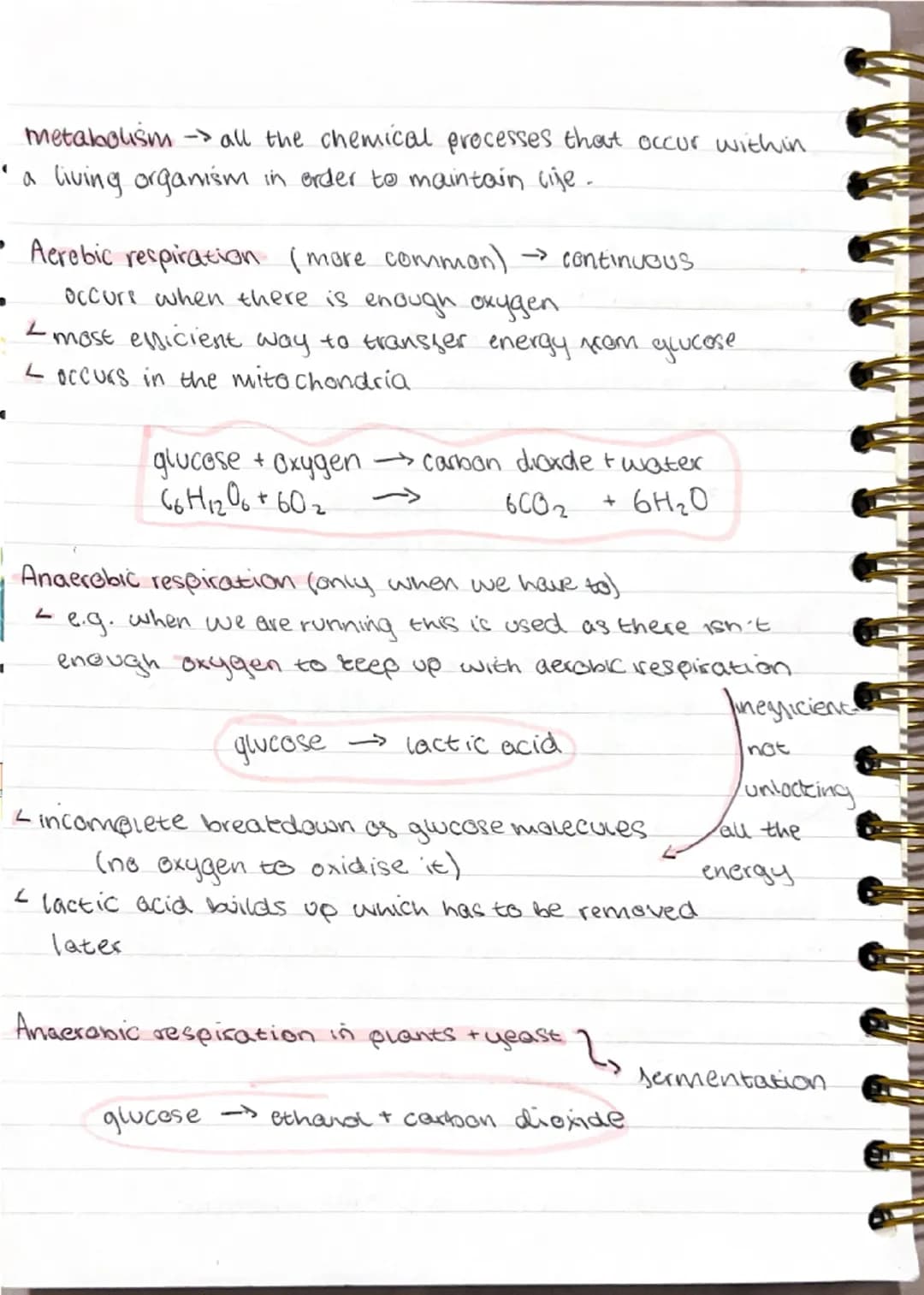 Photosynthesis
endothermic
Chloroplasts
<green pigment chlorophyll
(absoros light)
carbon dioxide + $H_2O$ $\rightarrow$ quicese + oxygen