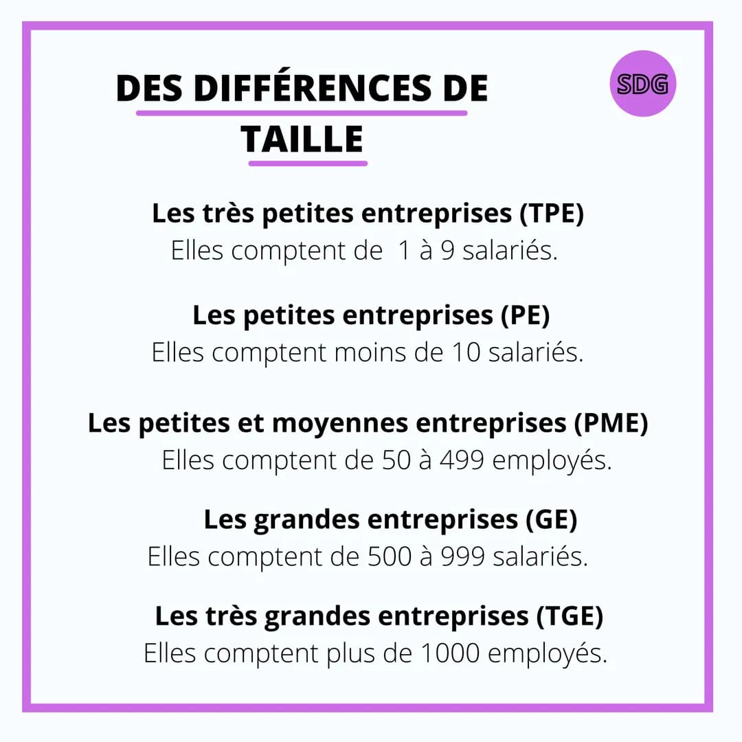 SCIENCE DE GESTION
LES DIFFÉRENTES
FORMES DES
ENTREPRISES # DES DIFFÉRENCES DE
# TAILLE
Les très petites entreprises (TPE)
Elles compten