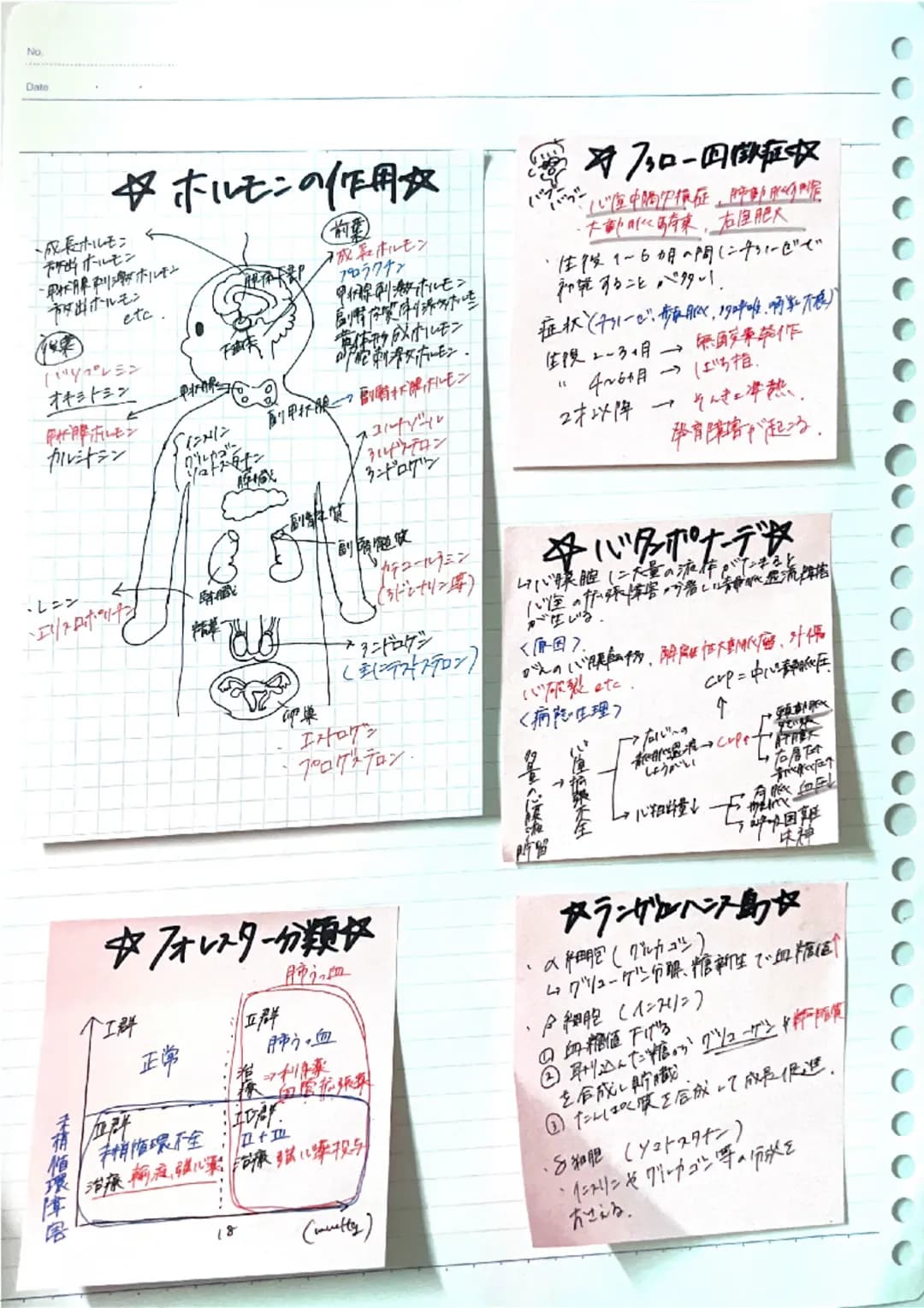 Date
☆ホルモンの作用☆
・成長ホルモン
所出ホルモン
・甲状腺リがホルモン
市放出ホルモン
etc.
バソプレシン
オキシトシン
カルシトシン
・レニン
4
・エリトロポッチン
0
卵巢
副質
前葉
成長ホルモン
プロラクチン
甲腺刺激ホルモン
風情你質的添些