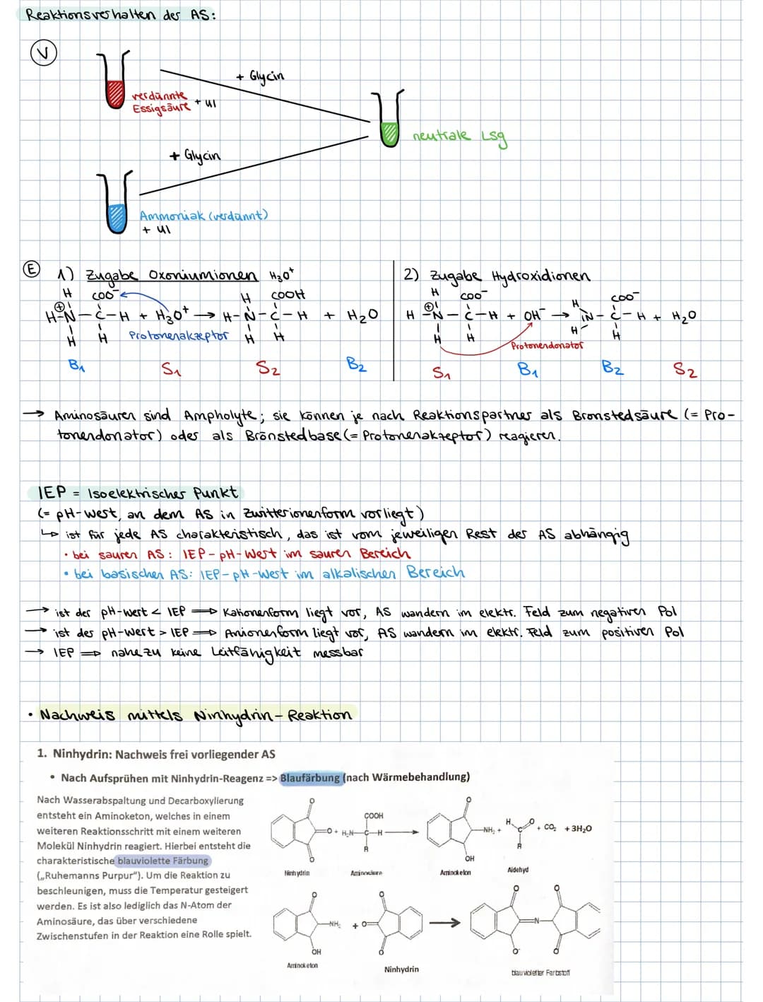 ### 3. PROTEINE
3.1. Aminosäuren als Bausteine der Proteine
Grund bausteine: 20 verschiedene AS (8 davon sind essentielle AS, d.h. der Kör