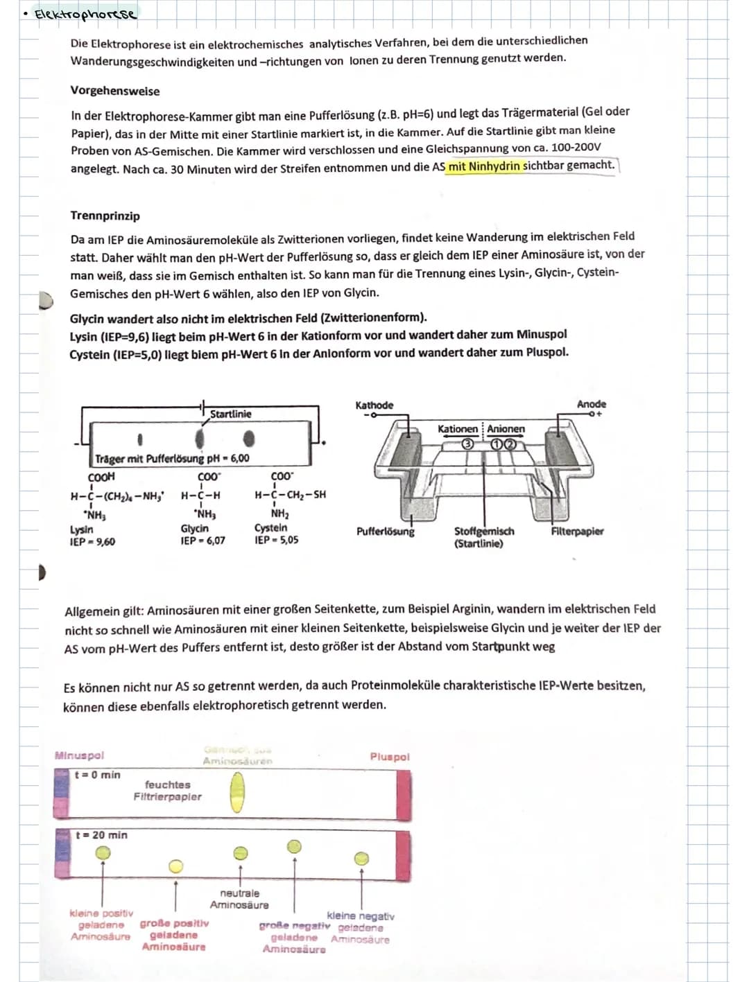 ### 3. PROTEINE
3.1. Aminosäuren als Bausteine der Proteine
Grund bausteine: 20 verschiedene AS (8 davon sind essentielle AS, d.h. der Kör
