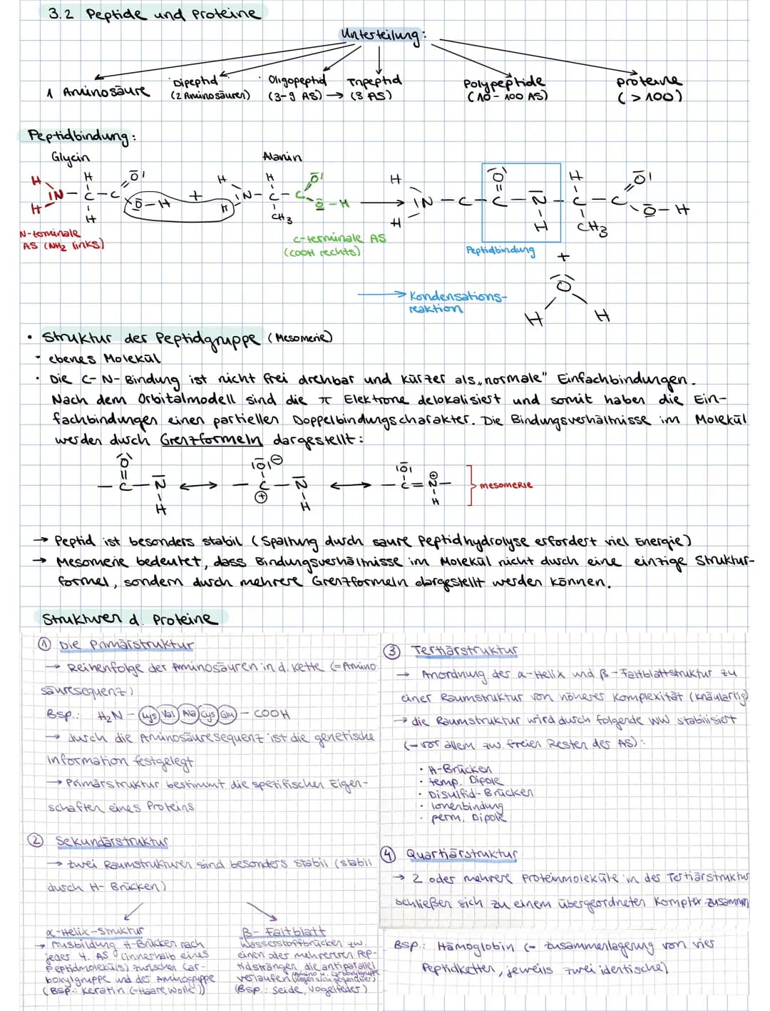 ### 3. PROTEINE
3.1. Aminosäuren als Bausteine der Proteine
Grund bausteine: 20 verschiedene AS (8 davon sind essentielle AS, d.h. der Kör