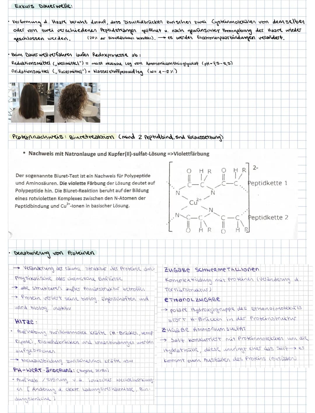 ### 3. PROTEINE
3.1. Aminosäuren als Bausteine der Proteine
Grund bausteine: 20 verschiedene AS (8 davon sind essentielle AS, d.h. der Kör