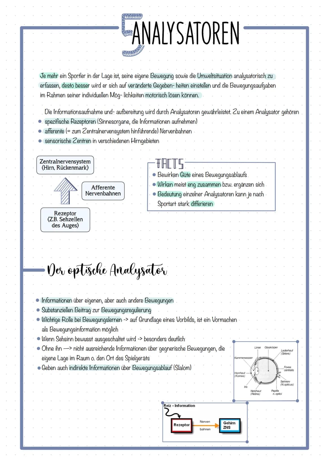 # Themen
KOORDINATION DEFINITION
FÜNF ANALYSATOREN & DAS ZUSAMMENWIRKEN
- Optische Analysator
- Kinästhetische Analysator
- Taktile Analysa