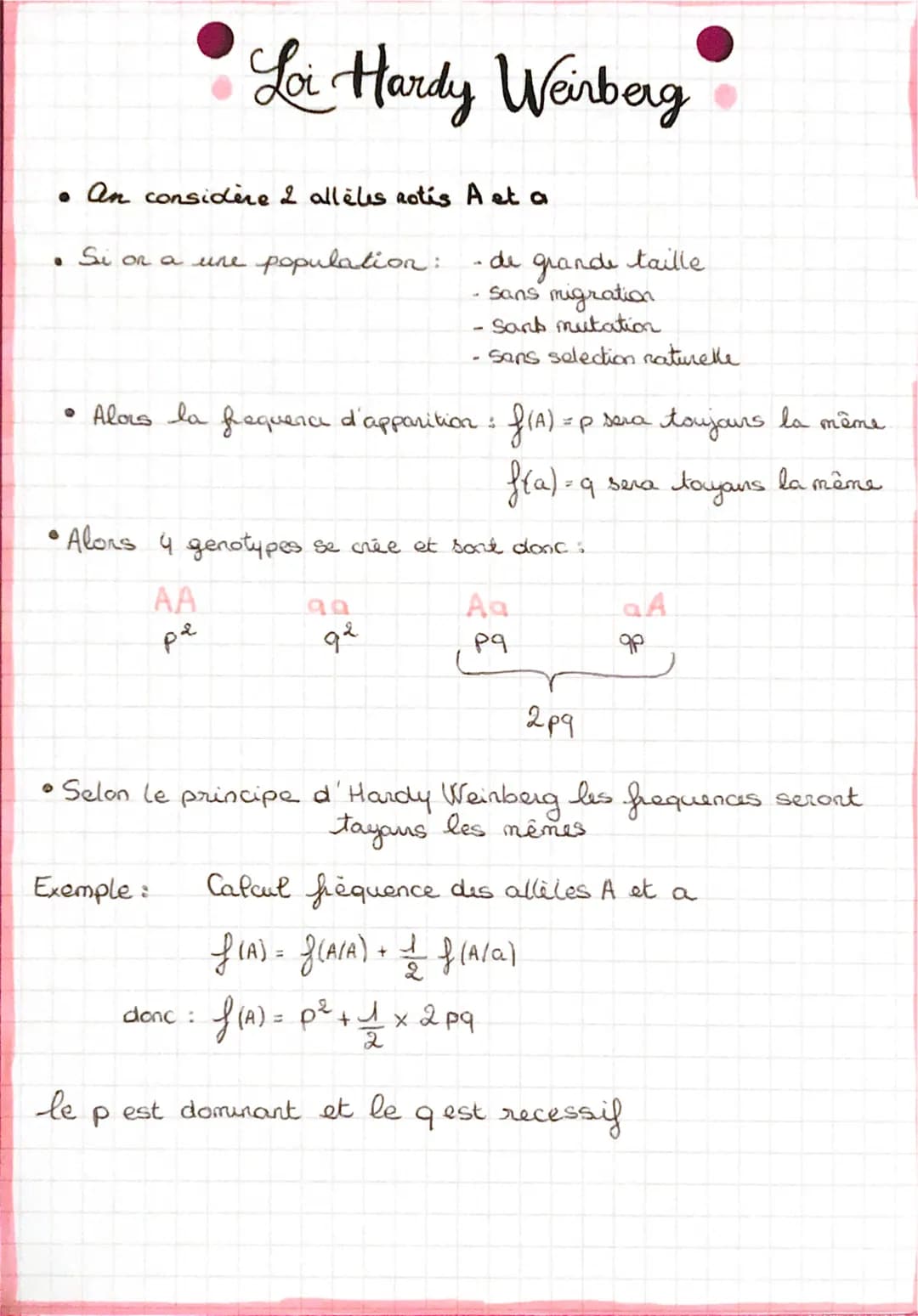 # Loi Hardy Weinberg
• An considère 2 allèles Rotis A et a
• Si on a une population:
- de grande taille
- Sans migration
- Sank mutation
-