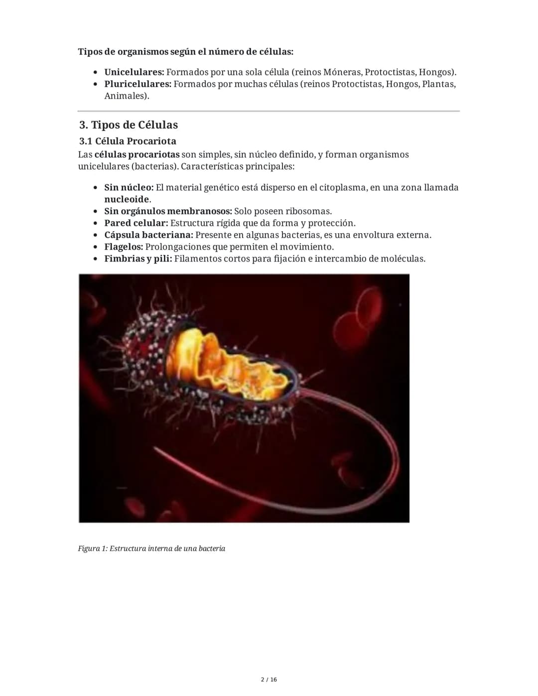 Resumen de Biología: Niveles de Organización, Células, Salud y
Enfermedad
1. Niveles de Organización de los Seres Vivos
1.1 Niveles Abiótico