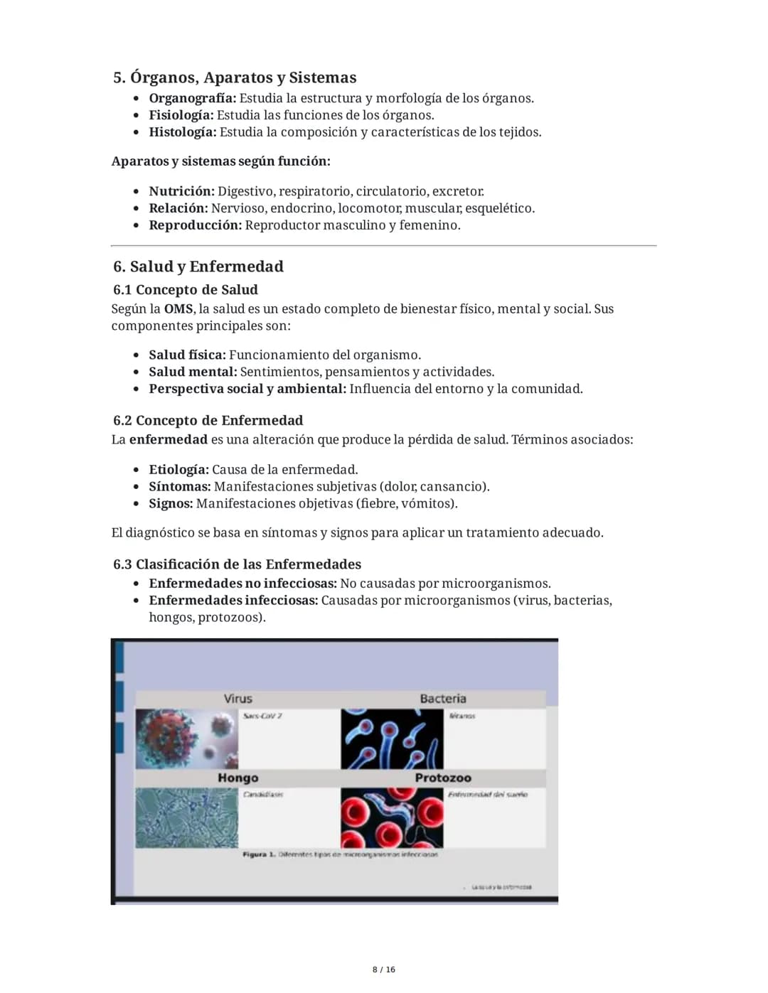 Resumen de Biología: Niveles de Organización, Células, Salud y
Enfermedad
1. Niveles de Organización de los Seres Vivos
1.1 Niveles Abiótico